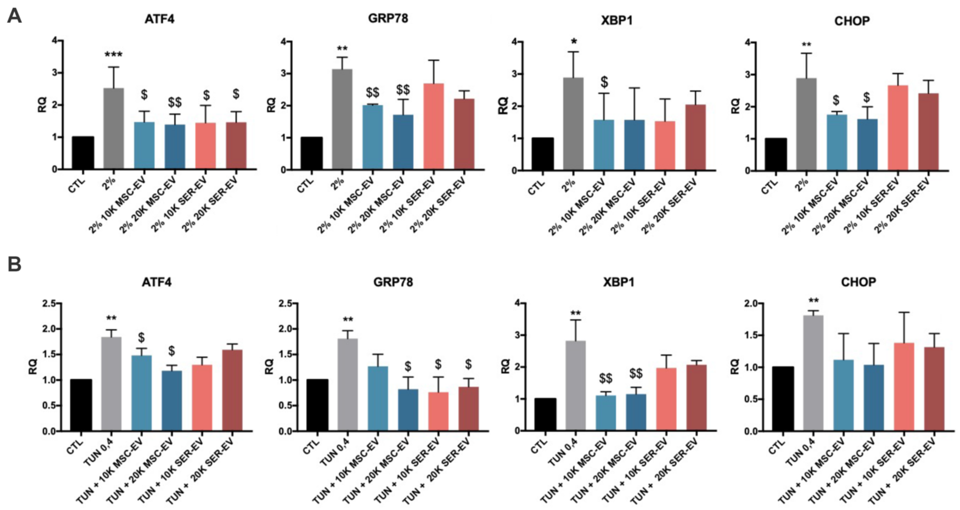 Ijms 22 04930 g004 Ijms 22 04930 g004