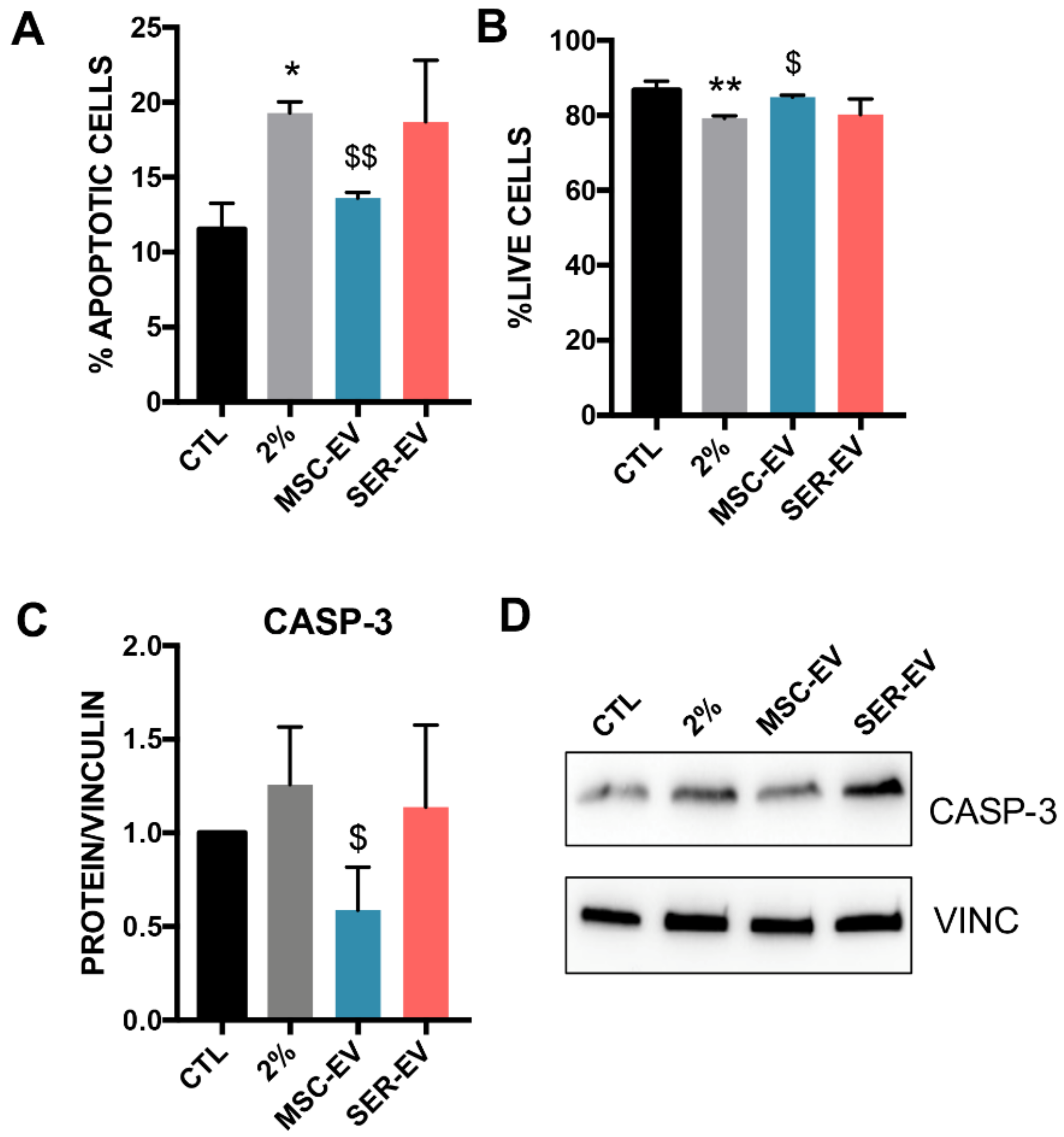 Ijms 22 04930 g006 Ijms 22 04930 g006