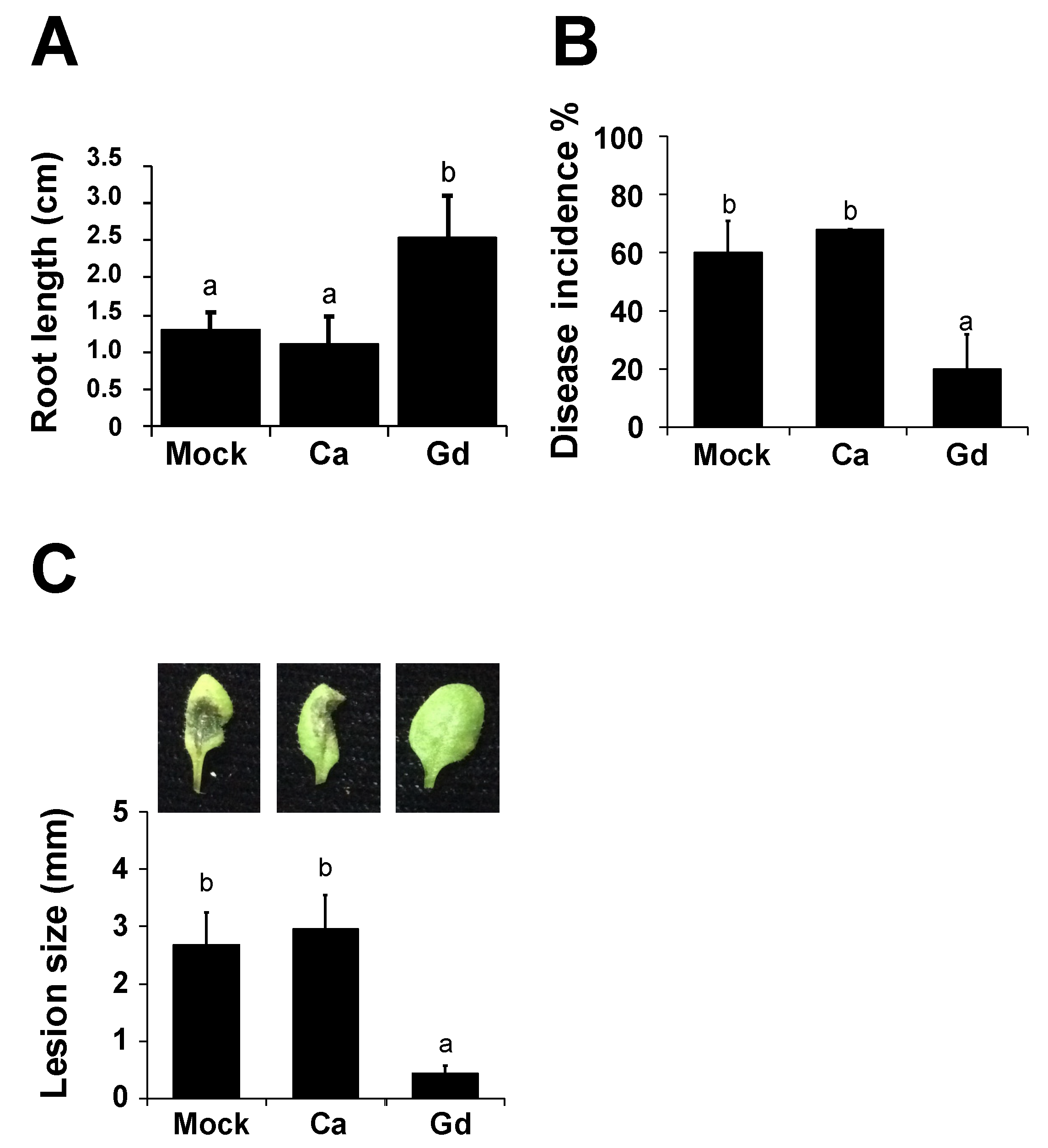 Ijms 22 04938 g001 Ijms 22 04938 g001
