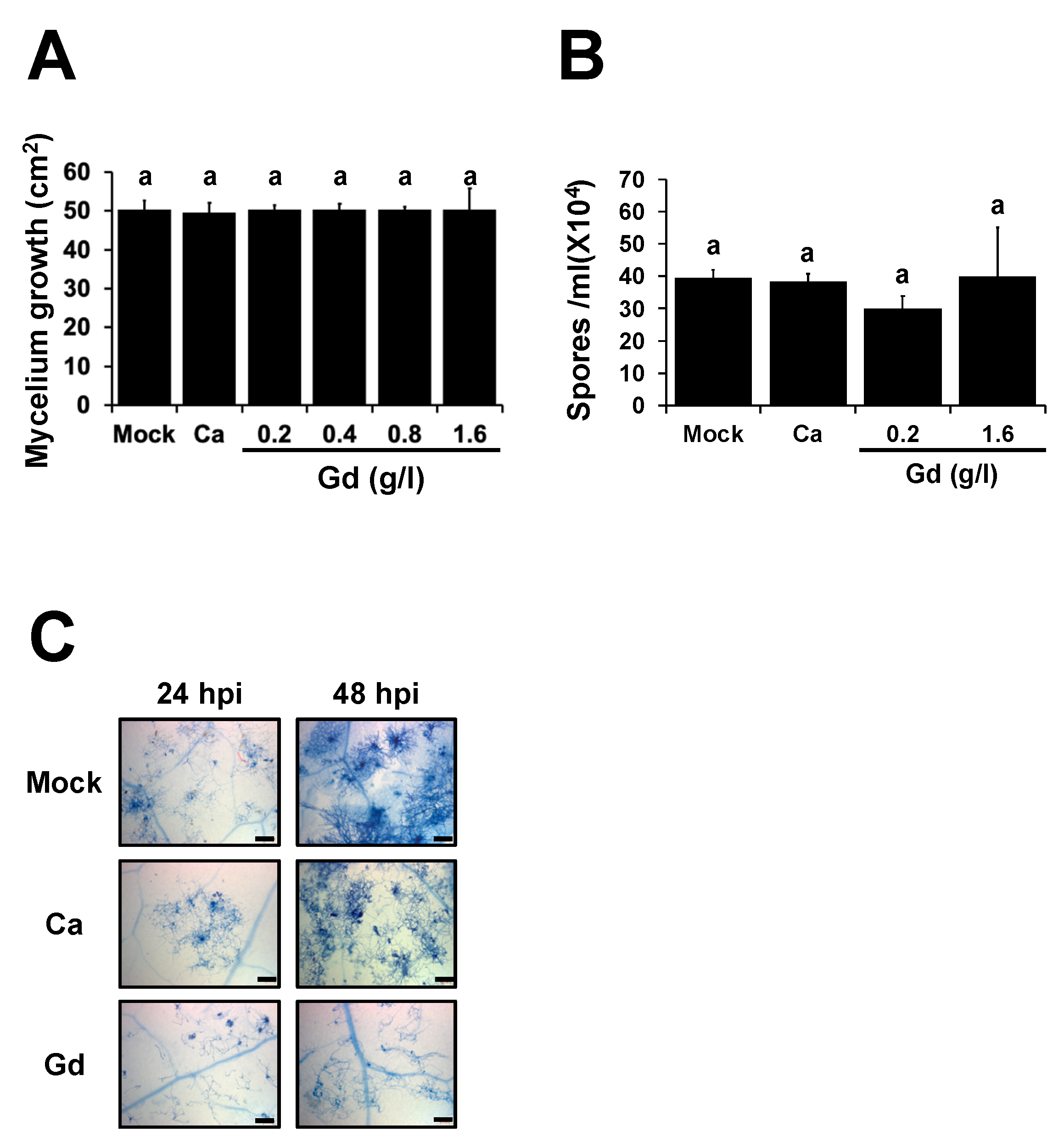Ijms 22 04938 g002 Ijms 22 04938 g002