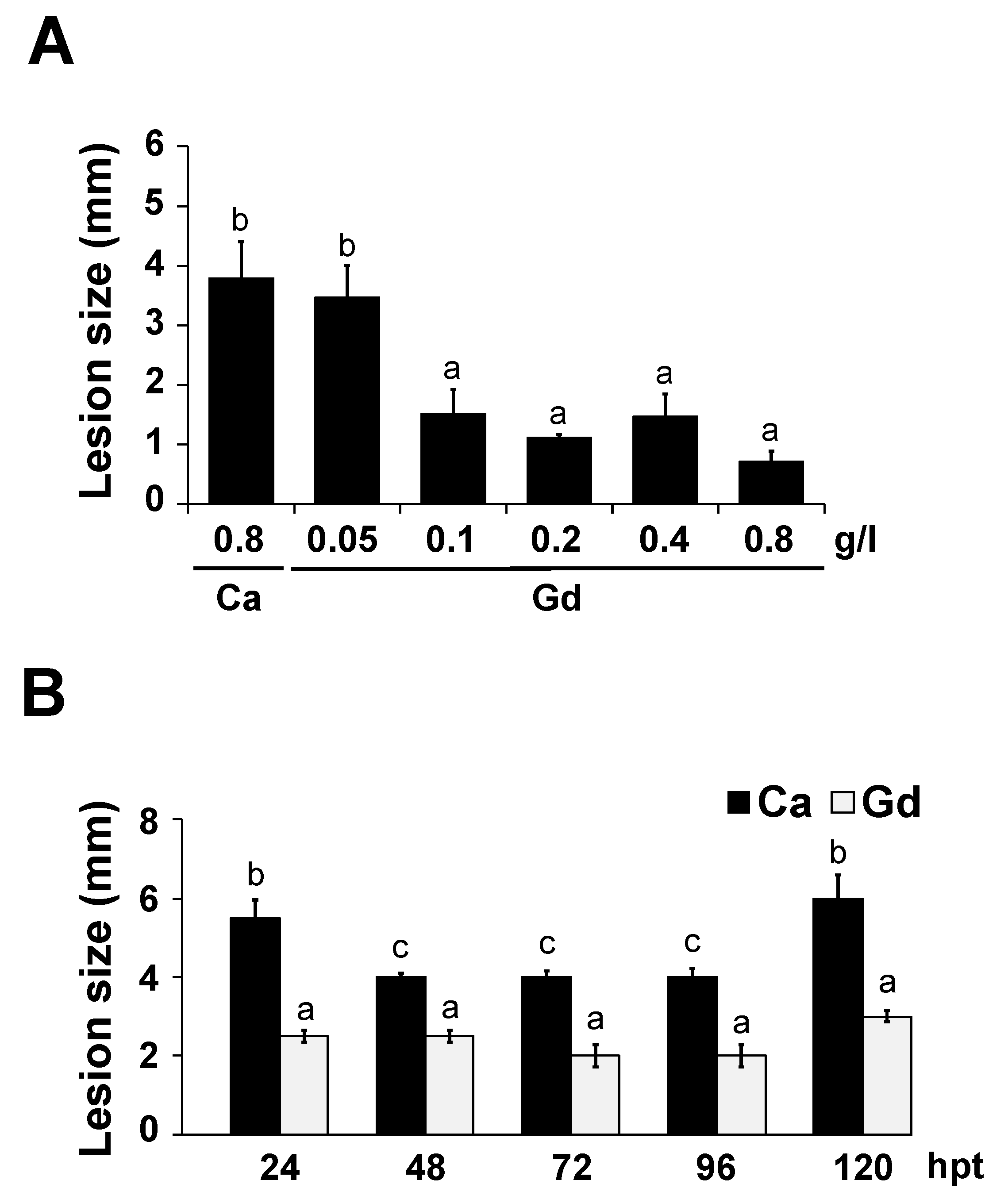 Ijms 22 04938 g003 Ijms 22 04938 g003