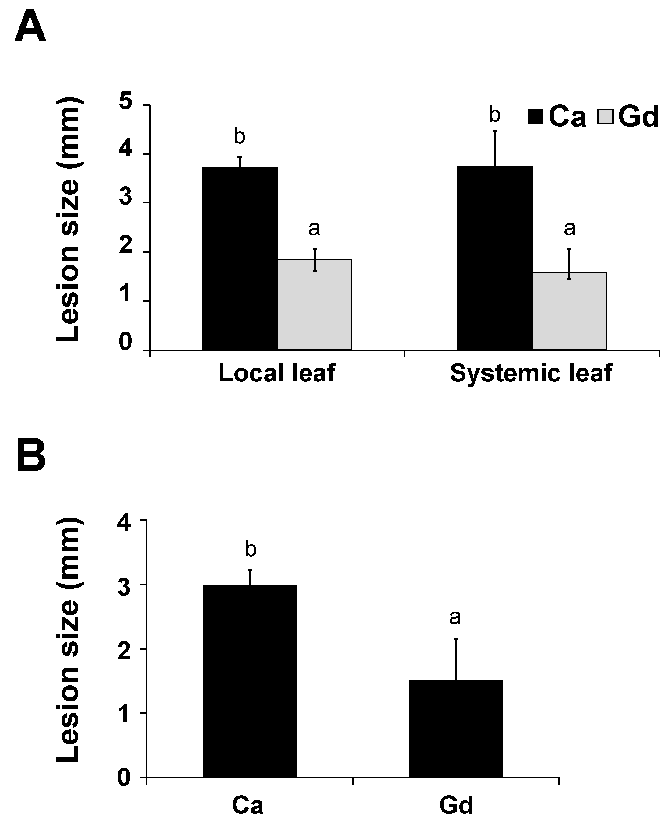 Ijms 22 04938 g004 Ijms 22 04938 g004