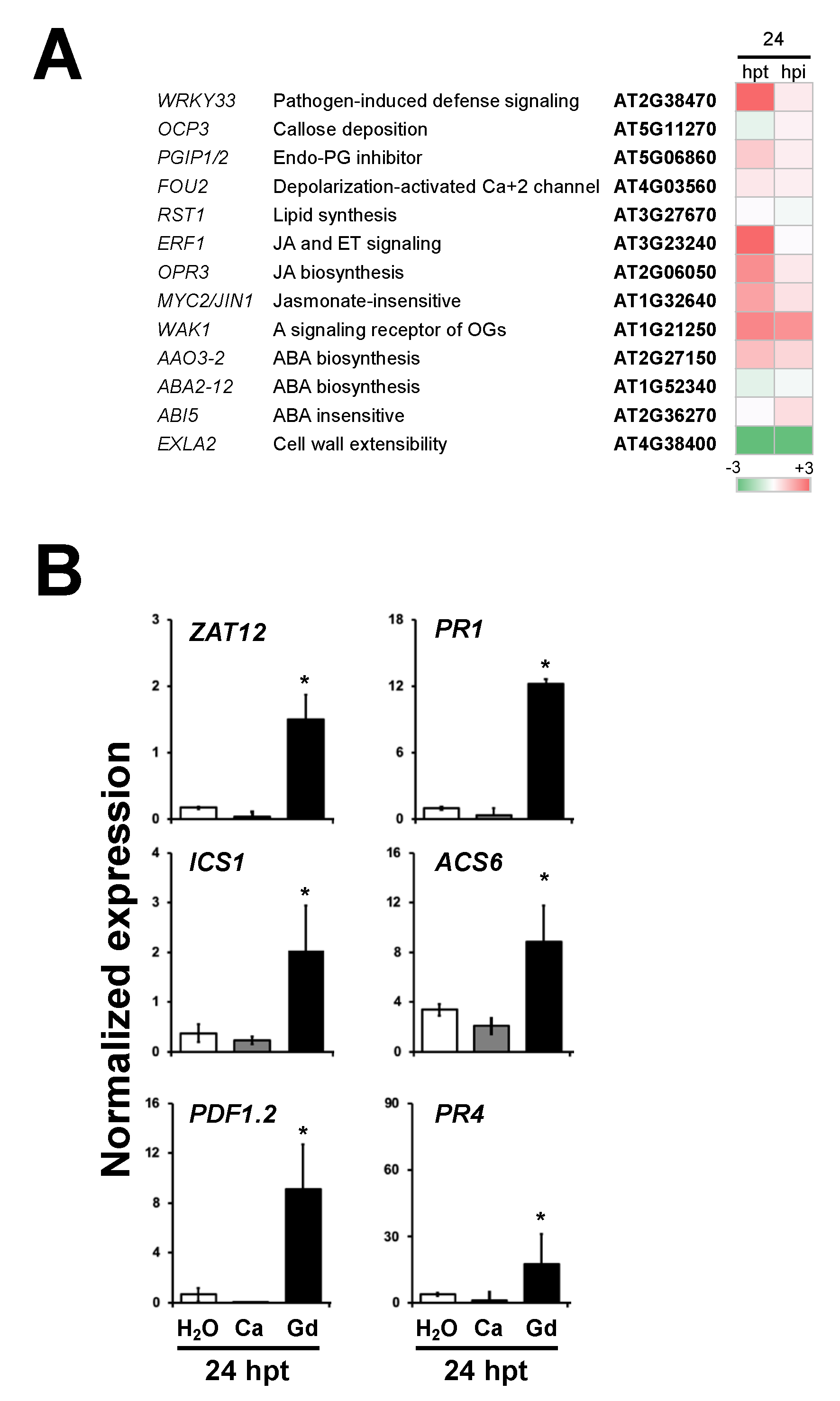 Ijms 22 04938 g007 Ijms 22 04938 g007