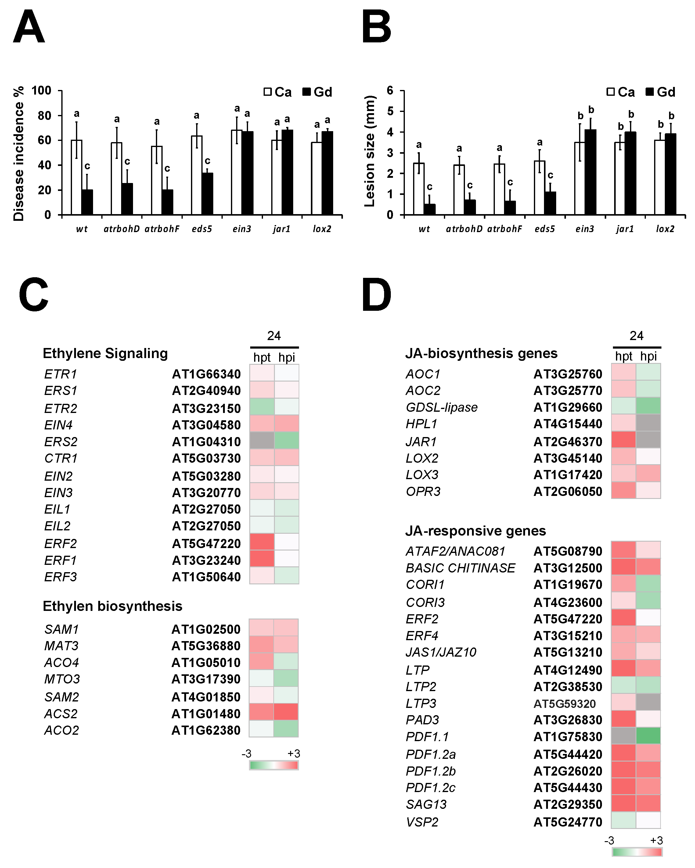 Ijms 22 04938 g008 Ijms 22 04938 g008