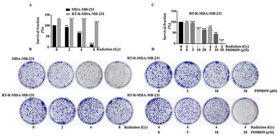 Activated ERK Signaling Is One of the Major Hub Signals Related to