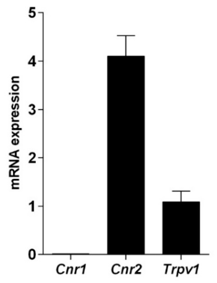 Ijms 22 04954 g001 Ijms 22 04954 g001