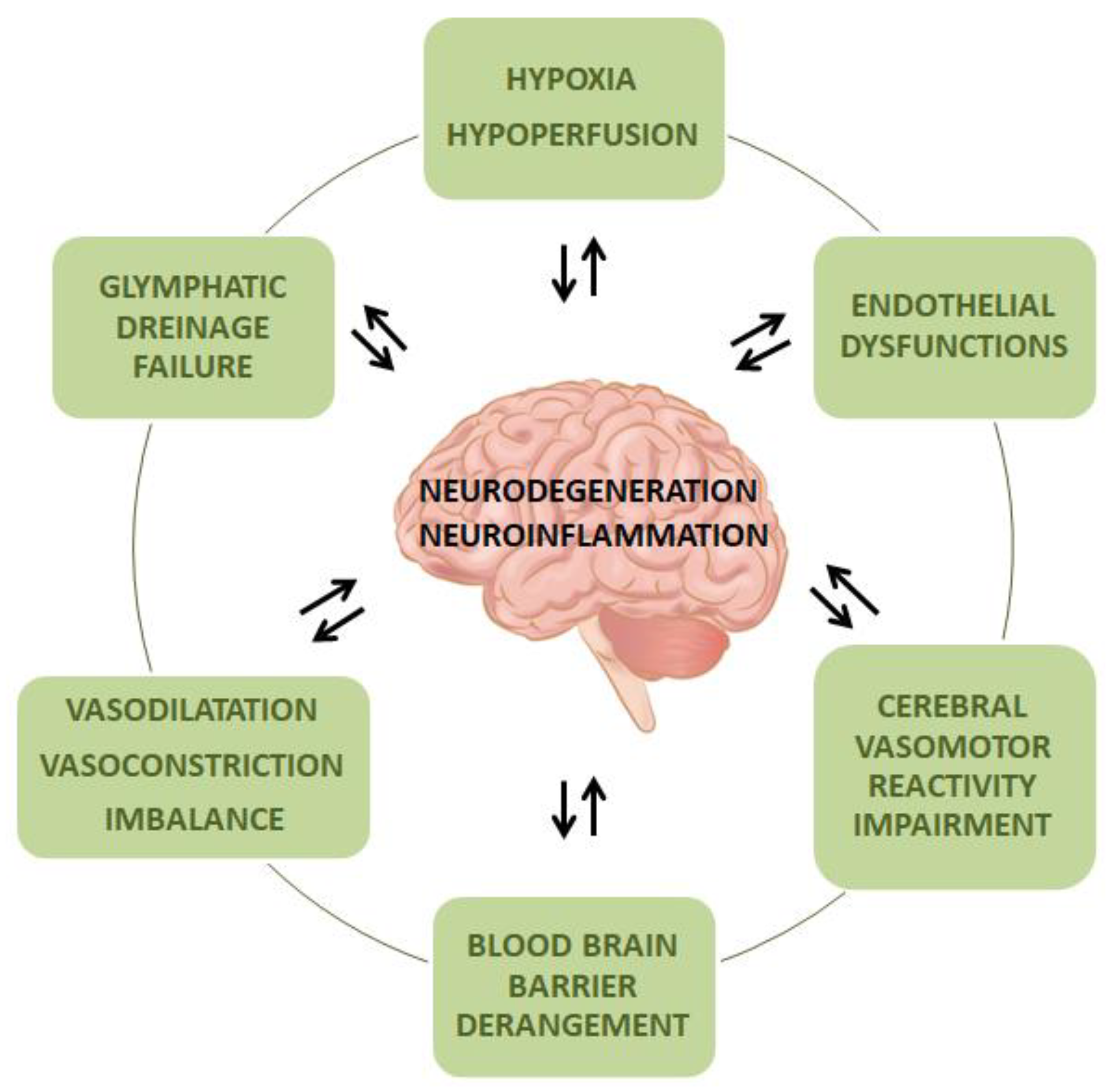 Ijms 22 04958 g001 Ijms 22 04958 g001