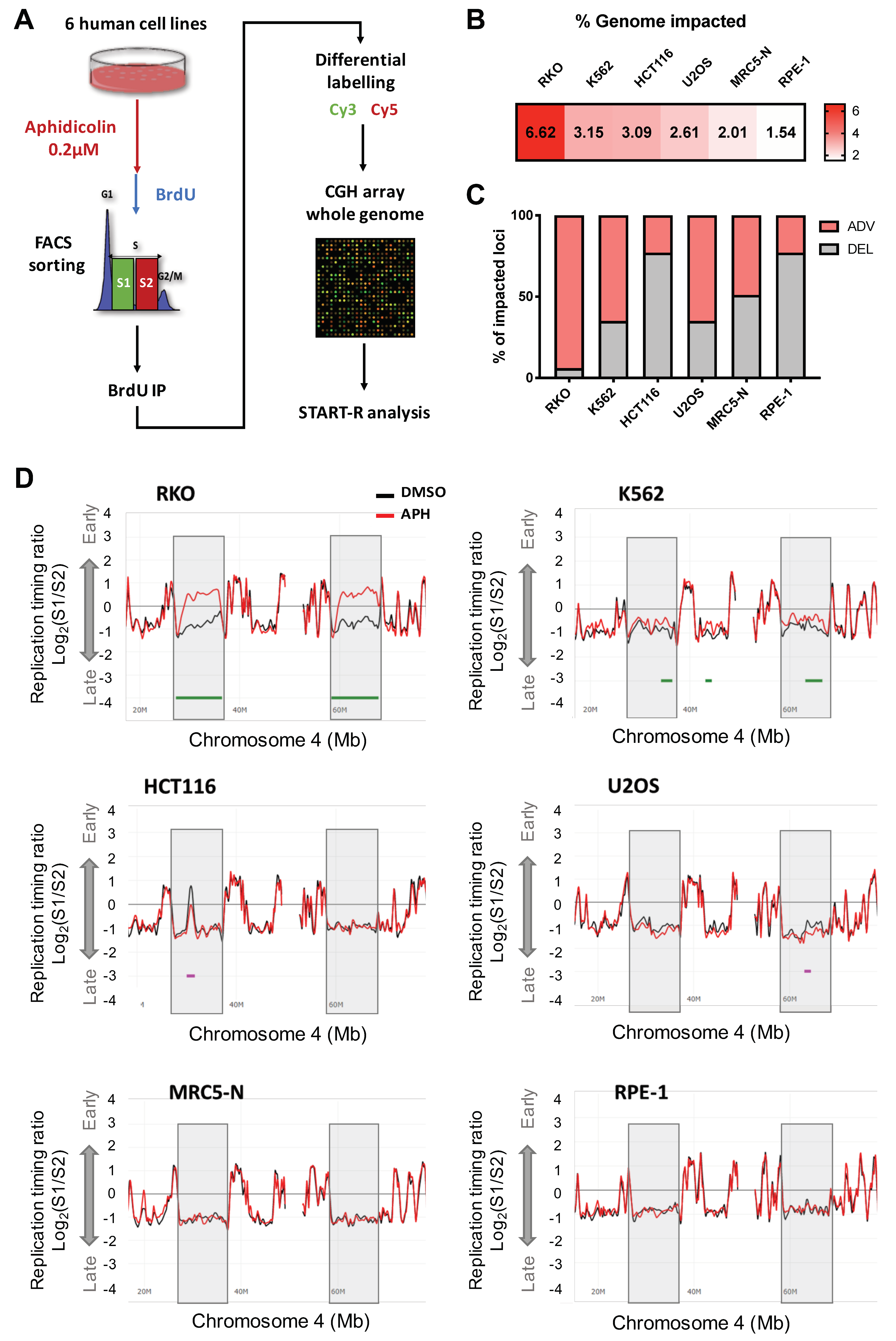 Ijms 22 04959 g001 Ijms 22 04959 g001