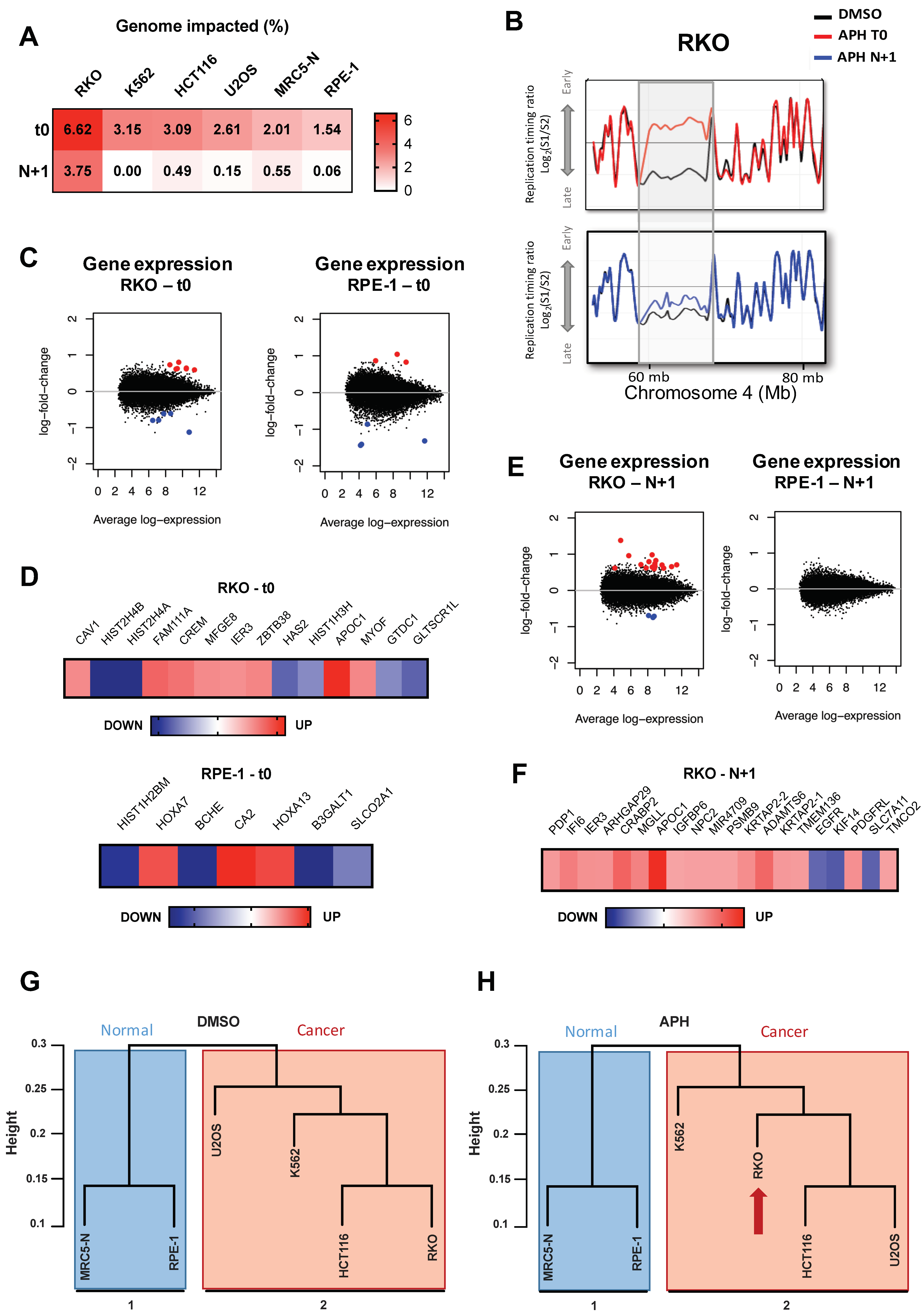 Ijms 22 04959 g004 Ijms 22 04959 g004