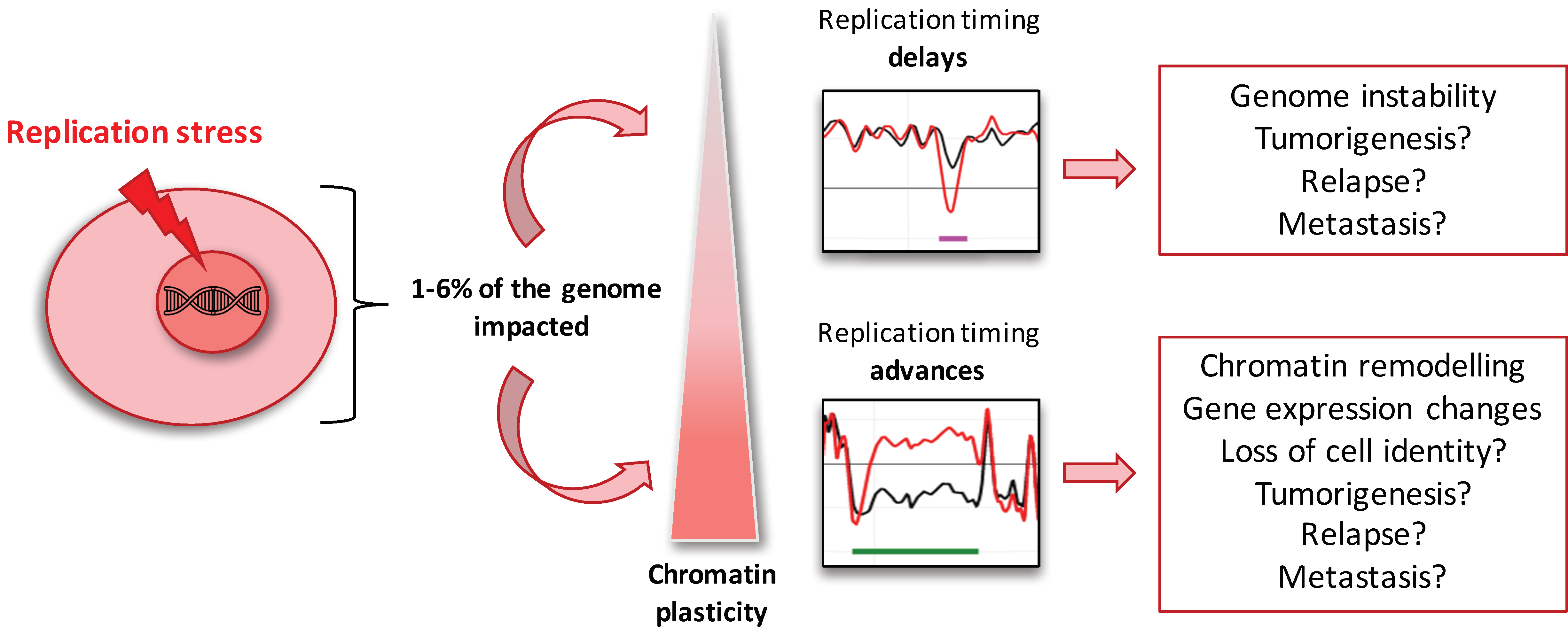 Ijms 22 04959 g006 Ijms 22 04959 g006