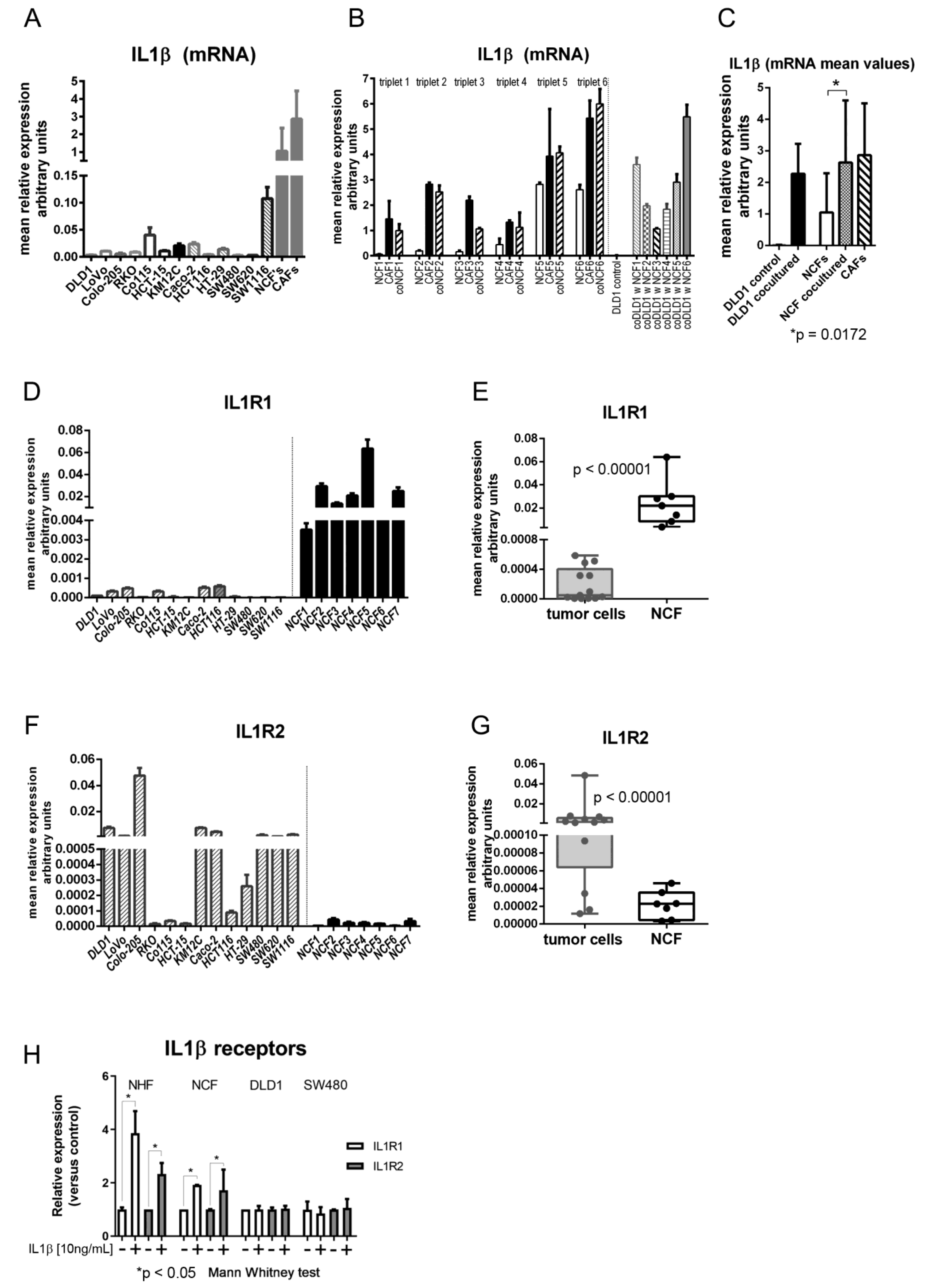 Ijms 22 04960 g001 Ijms 22 04960 g001