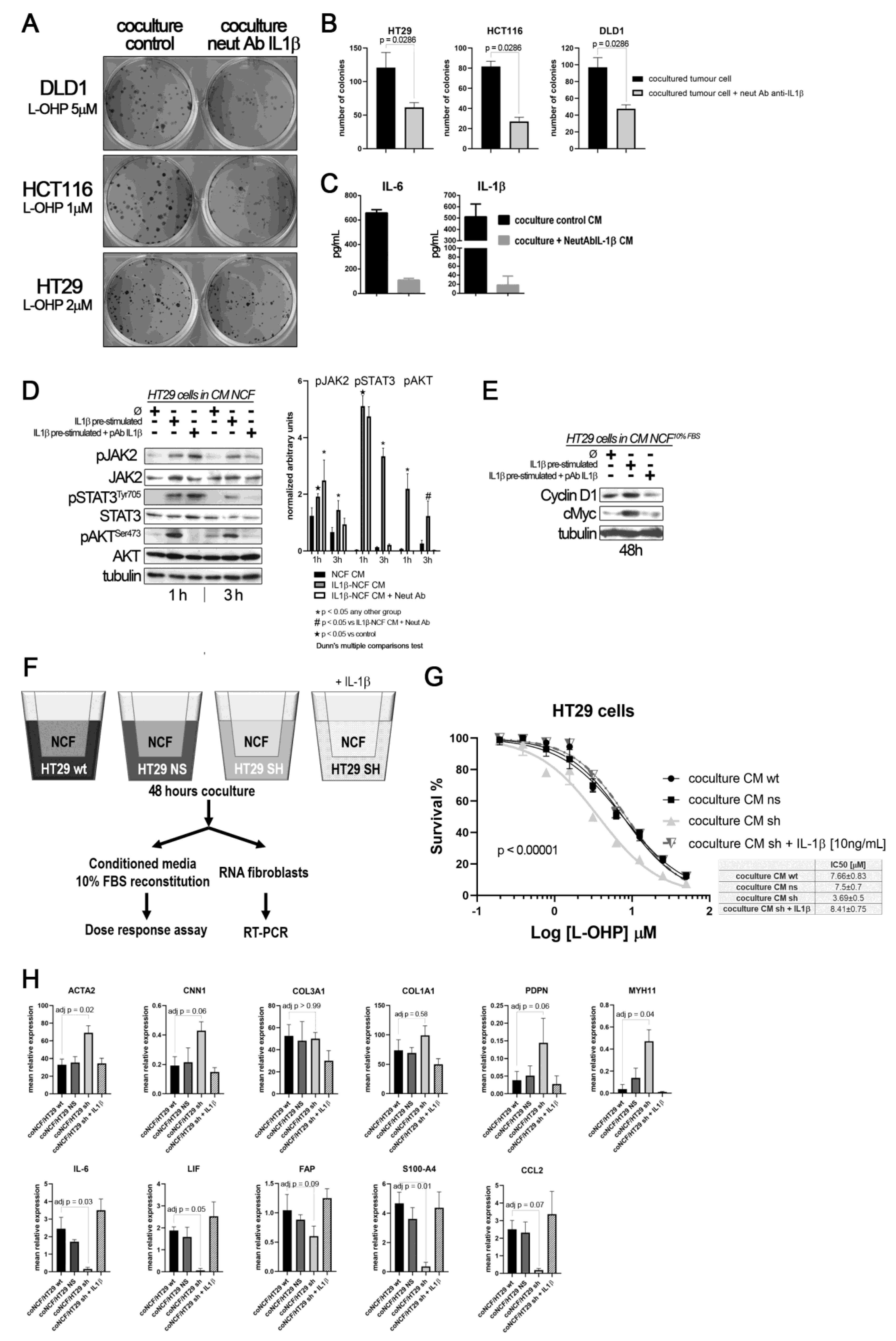 Ijms 22 04960 g004 Ijms 22 04960 g004