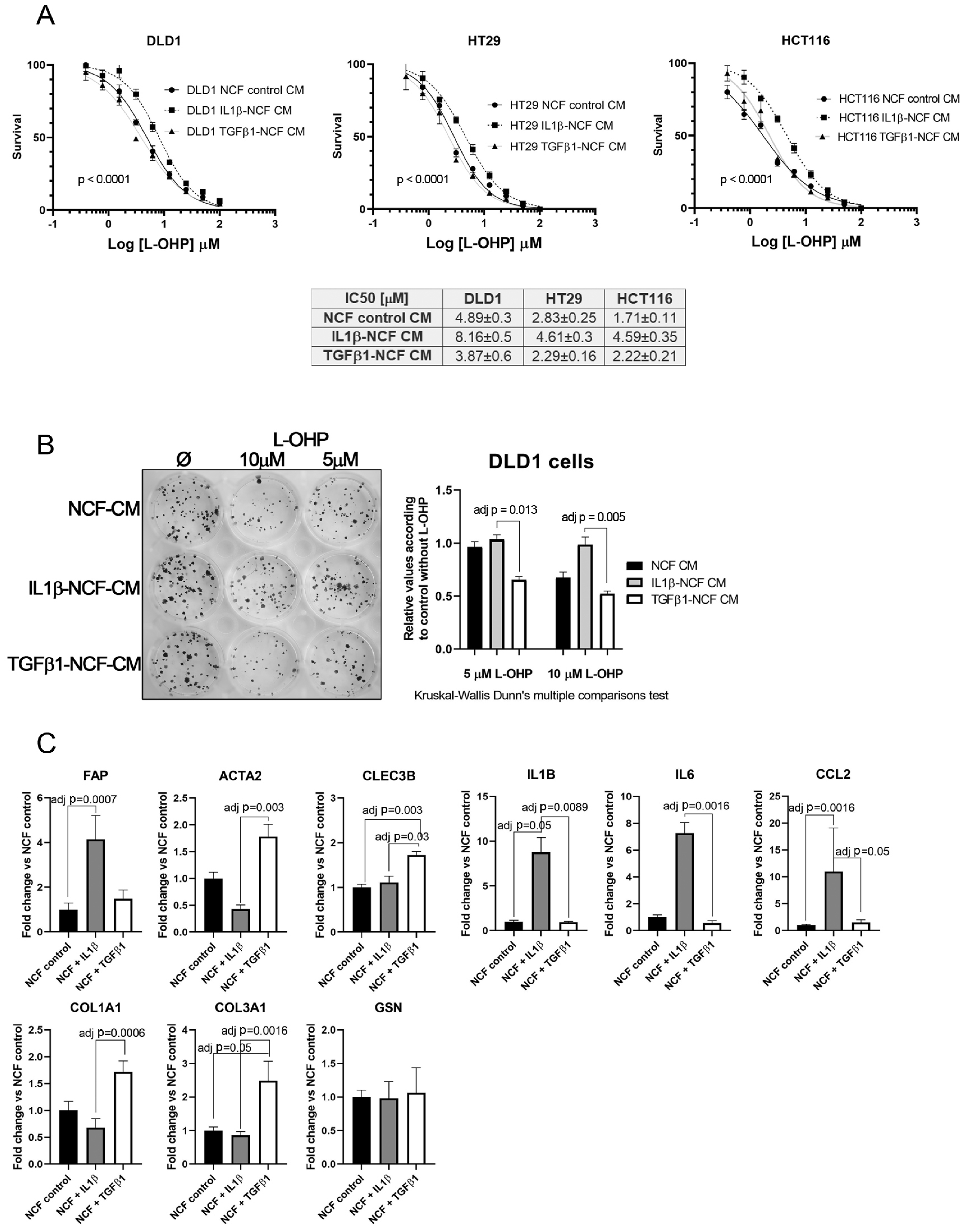 Ijms 22 04960 g005 Ijms 22 04960 g005