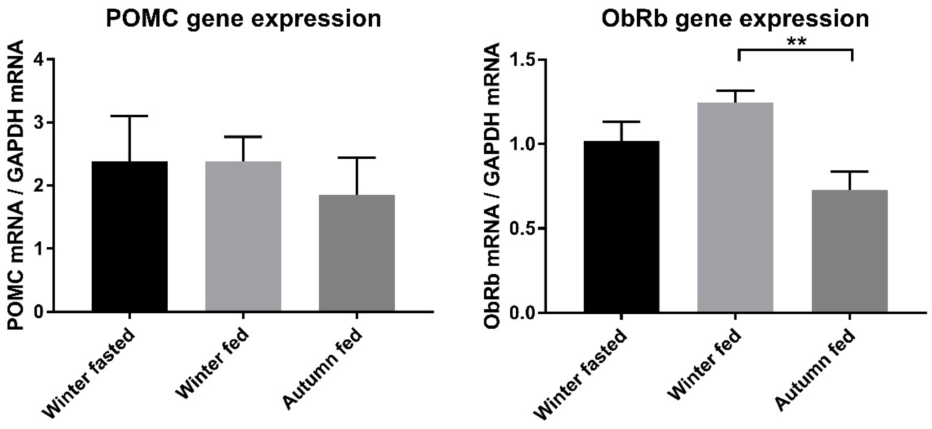 Ijms 22 04965 g002 Ijms 22 04965 g002