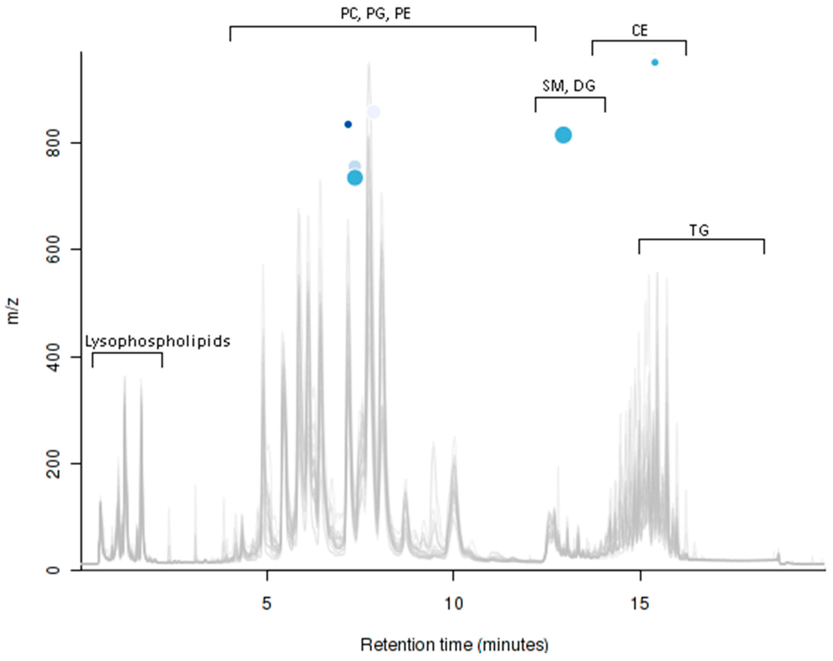 Ijms 22 04965 g007 Ijms 22 04965 g007