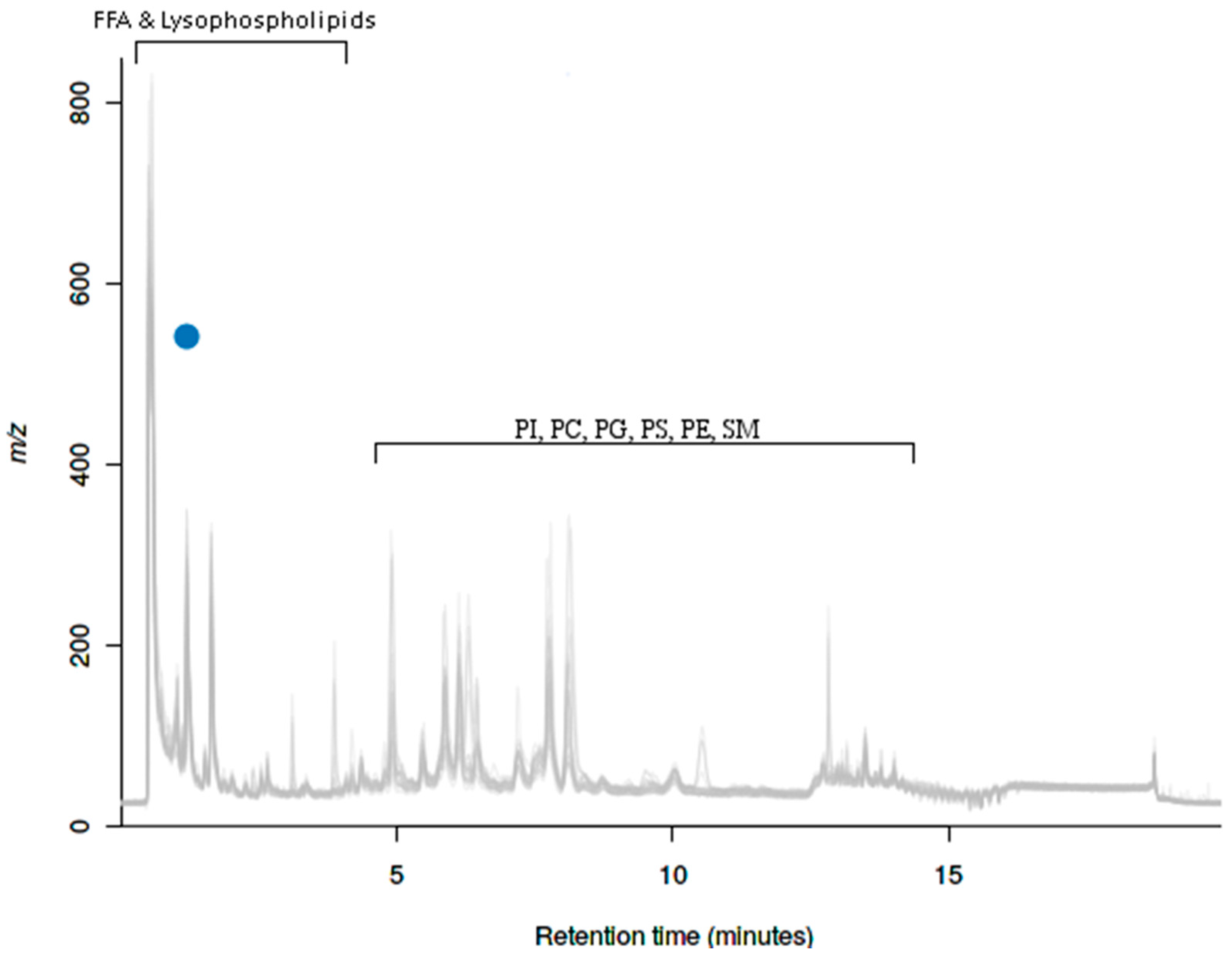 Ijms 22 04965 g008 Ijms 22 04965 g008