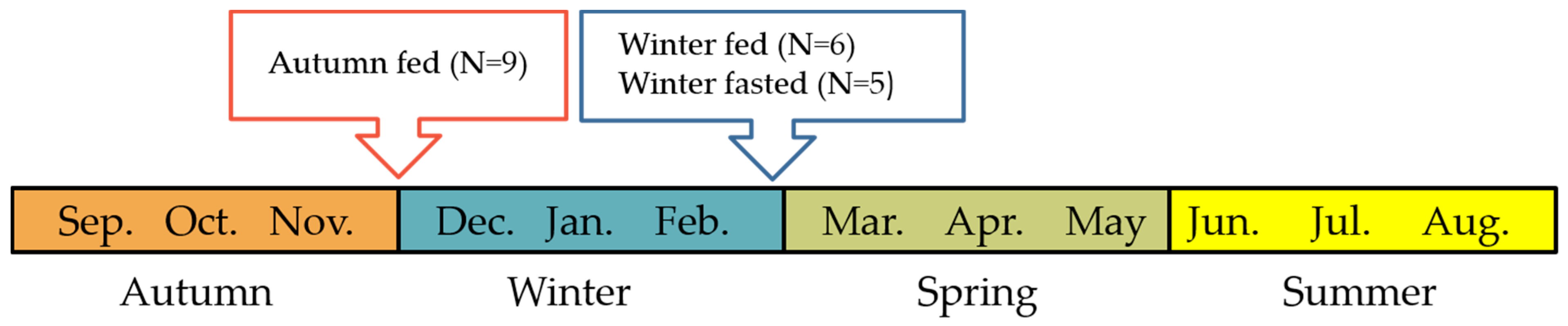 Ijms 22 04965 g009 Ijms 22 04965 g009