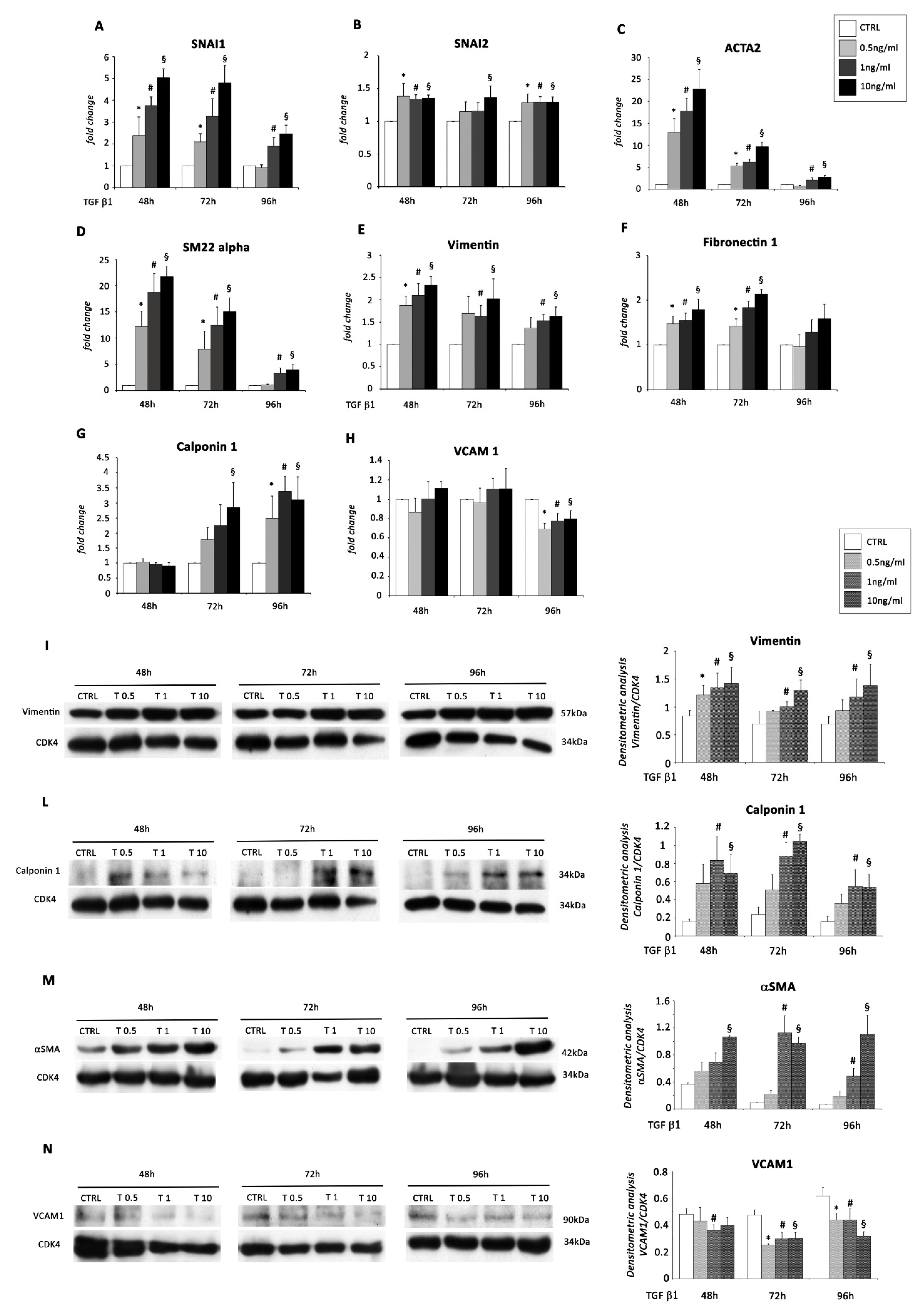 Ijms 22 04971 g001 Ijms 22 04971 g001