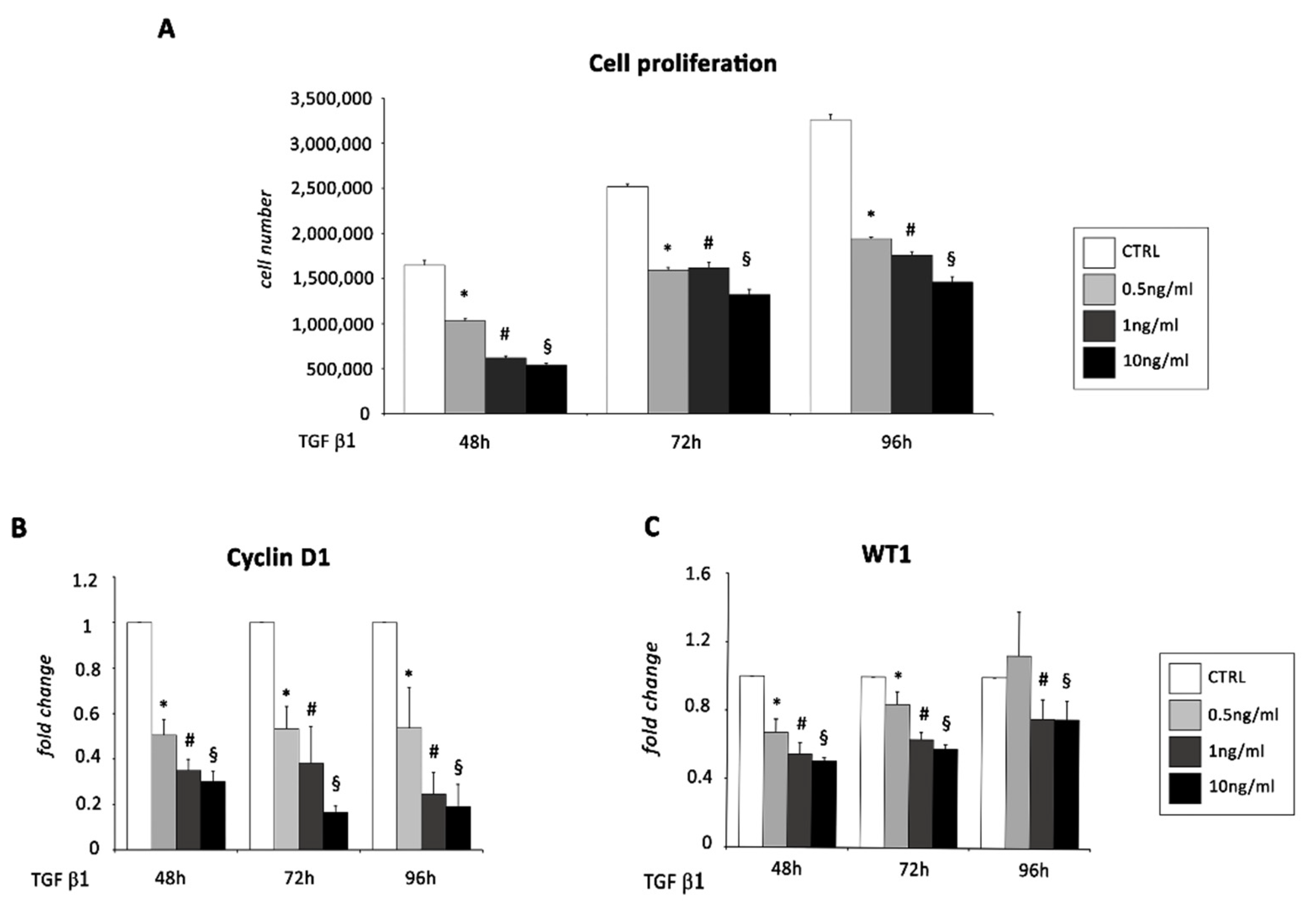 Ijms 22 04971 g003 Ijms 22 04971 g003