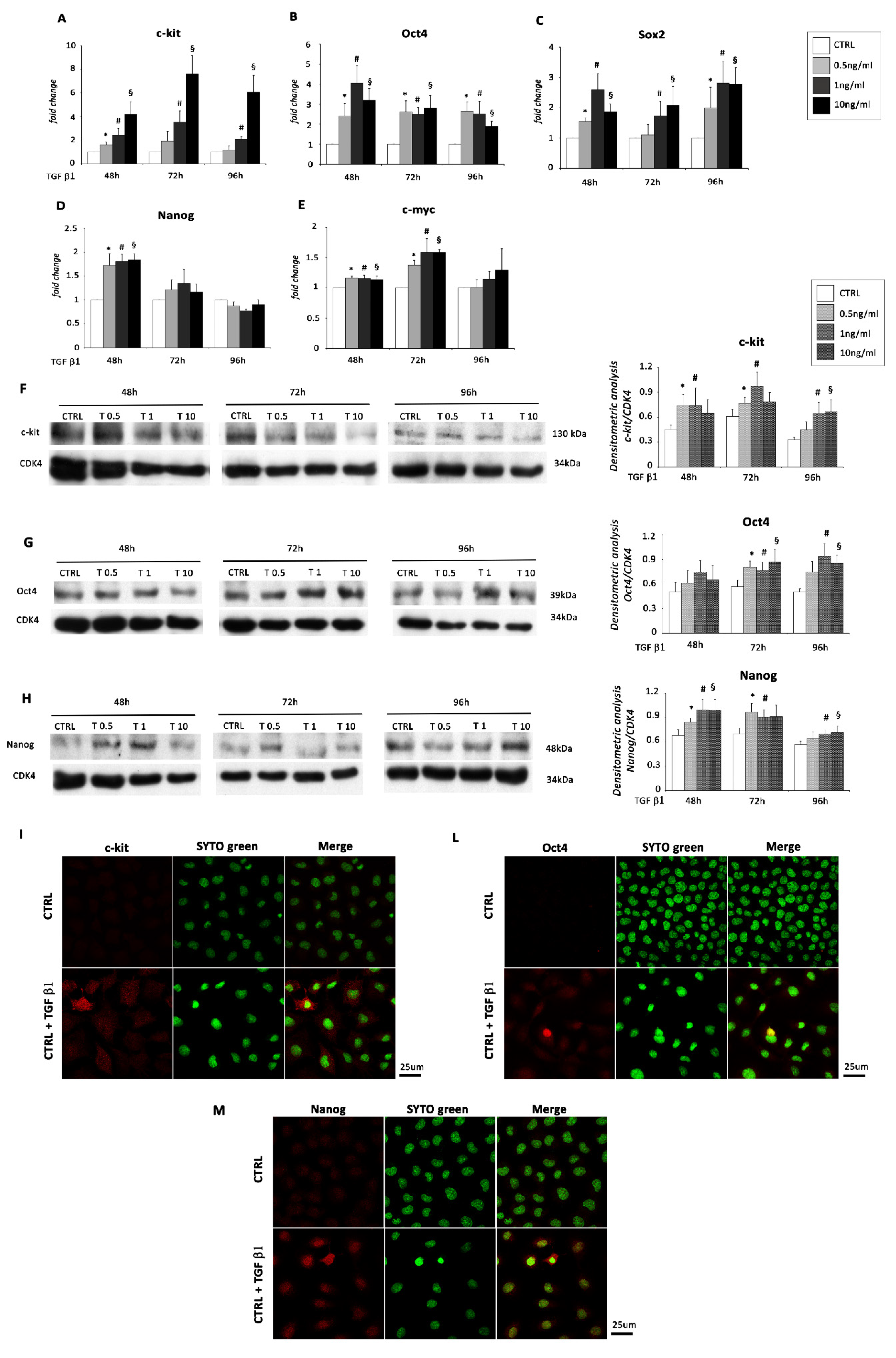 Ijms 22 04971 g004 Ijms 22 04971 g004