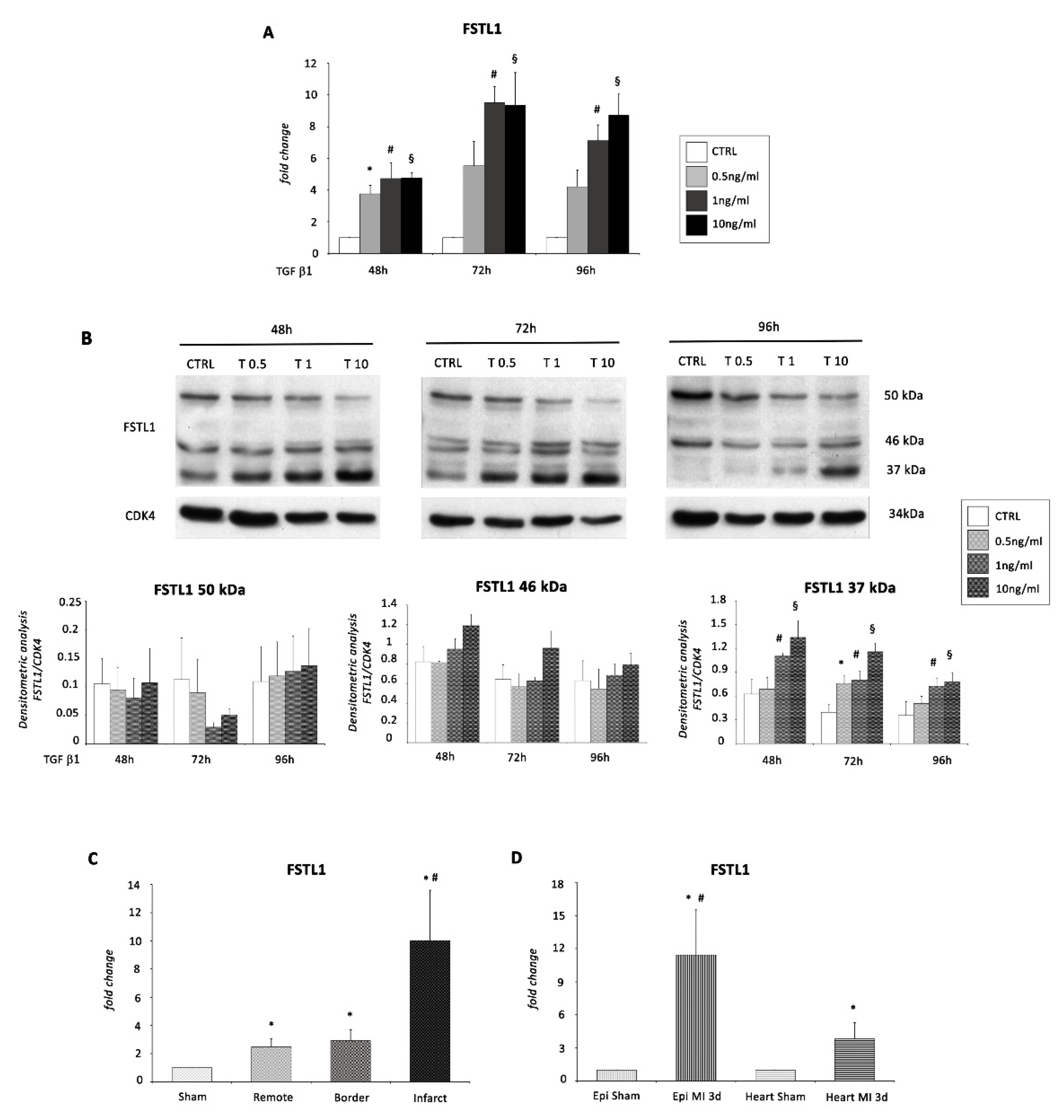 Ijms 22 04971 g006 Ijms 22 04971 g006
