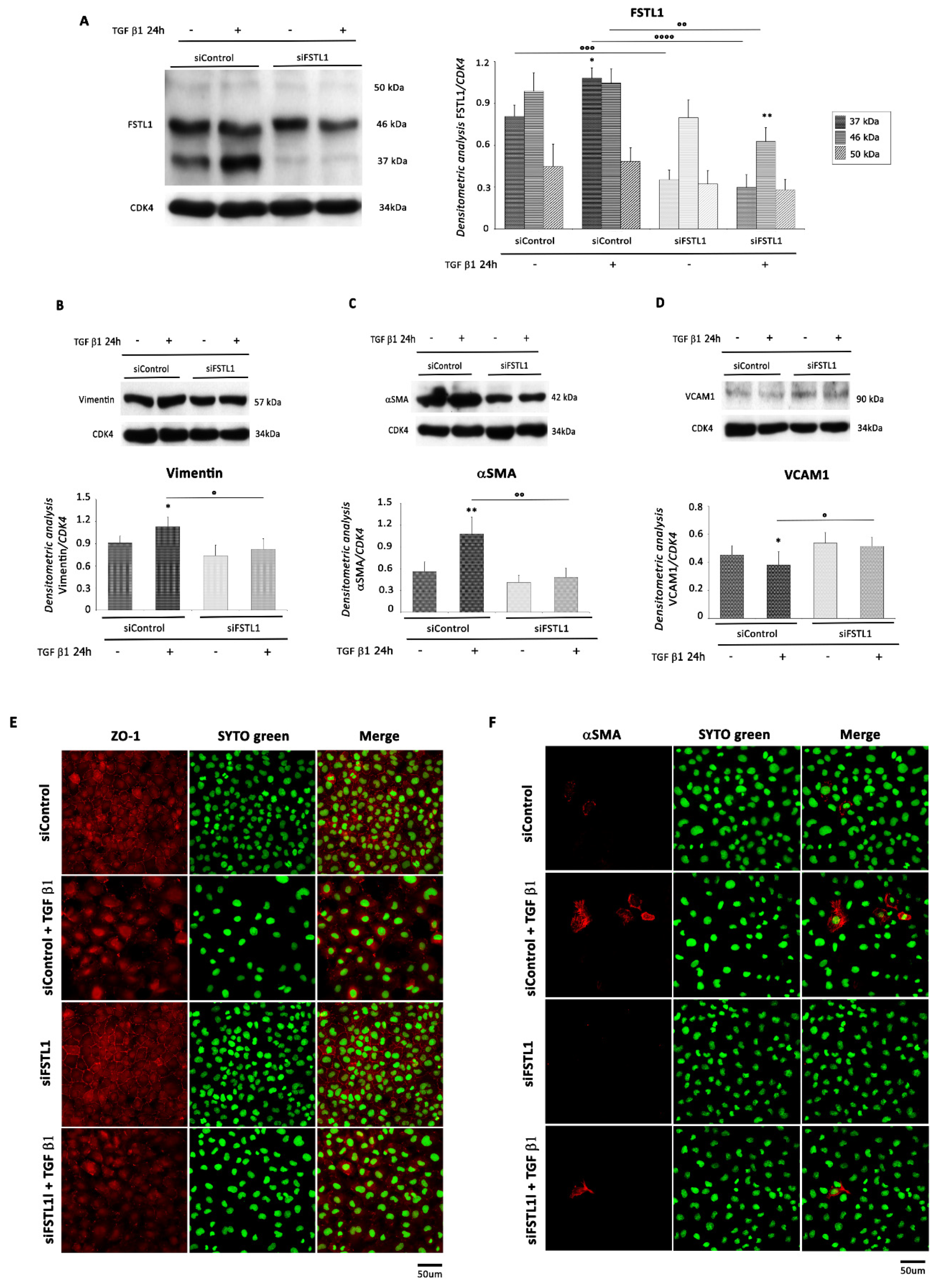 Ijms 22 04971 g008 Ijms 22 04971 g008