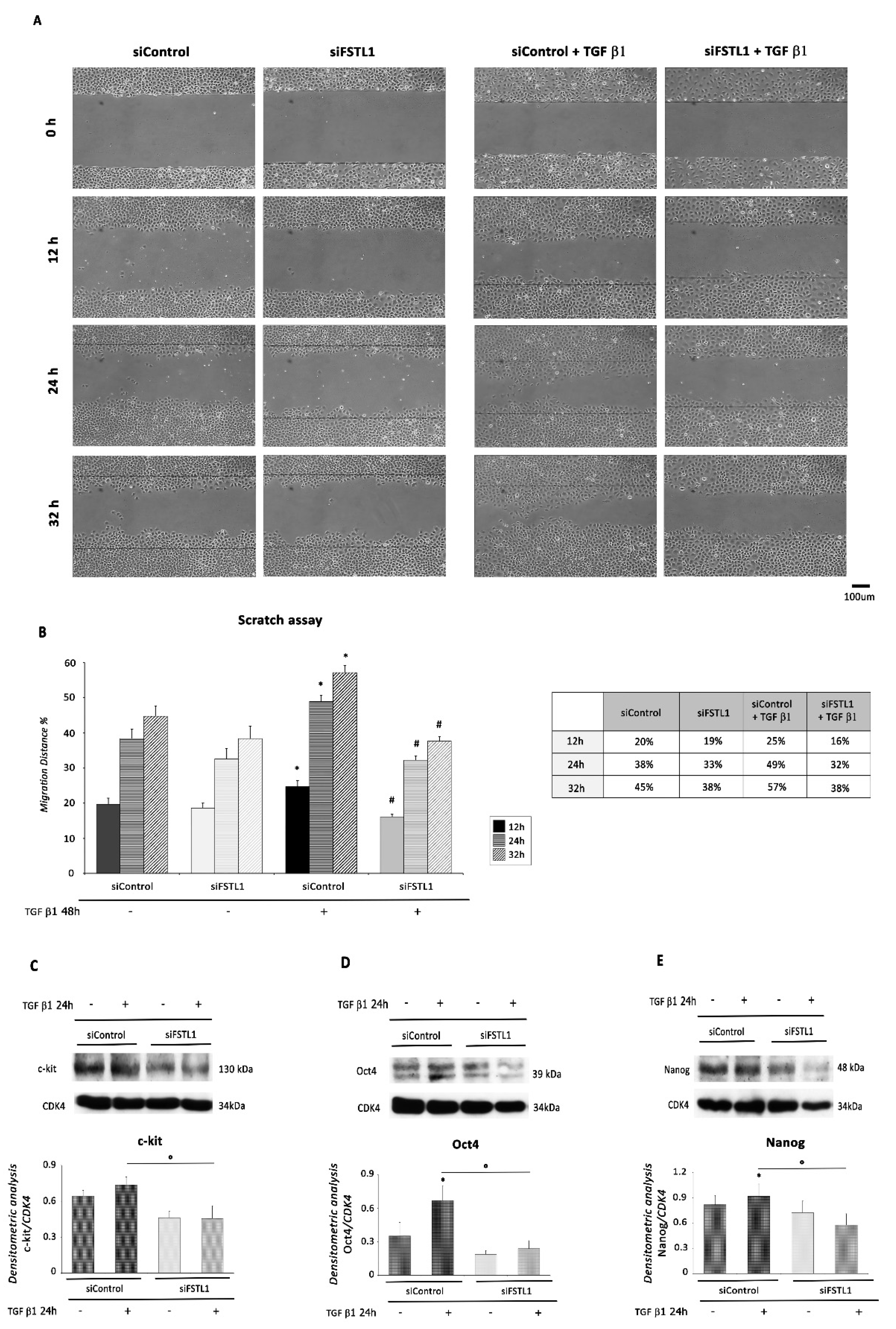 Ijms 22 04971 g009 Ijms 22 04971 g009