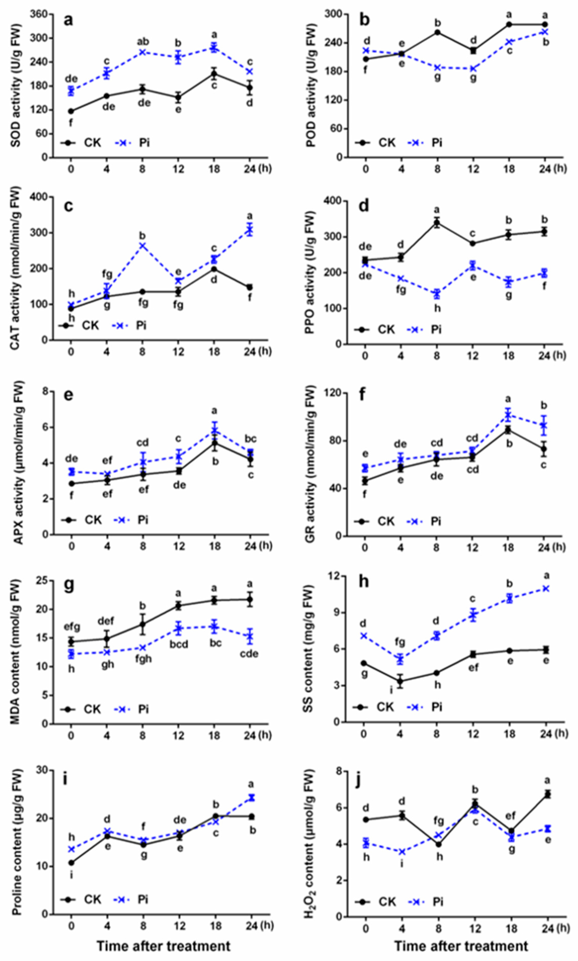 Ijms 22 04973 g004 Ijms 22 04973 g004