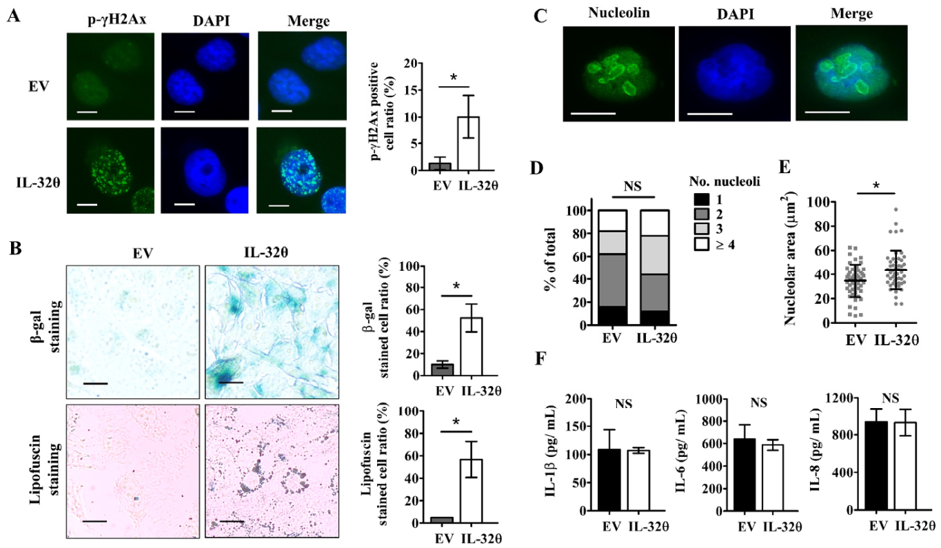 Ijms 22 04974 g002 Ijms 22 04974 g002