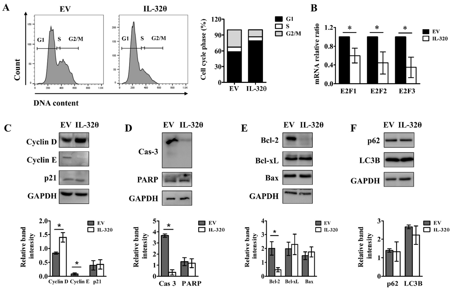 Ijms 22 04974 g004 Ijms 22 04974 g004