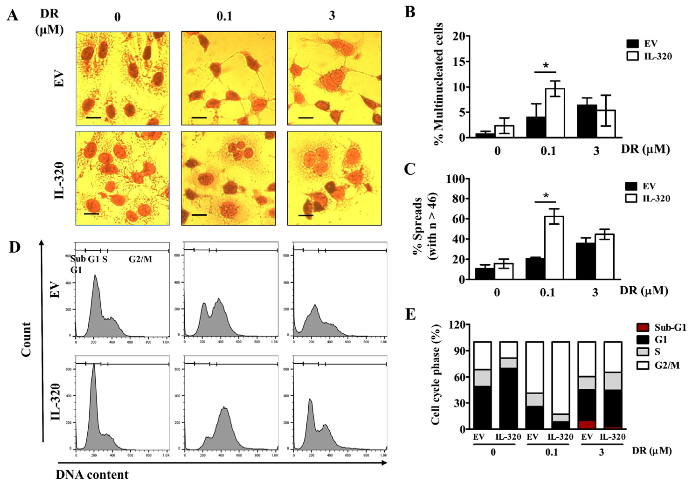 Ijms 22 04974 g006 Ijms 22 04974 g006