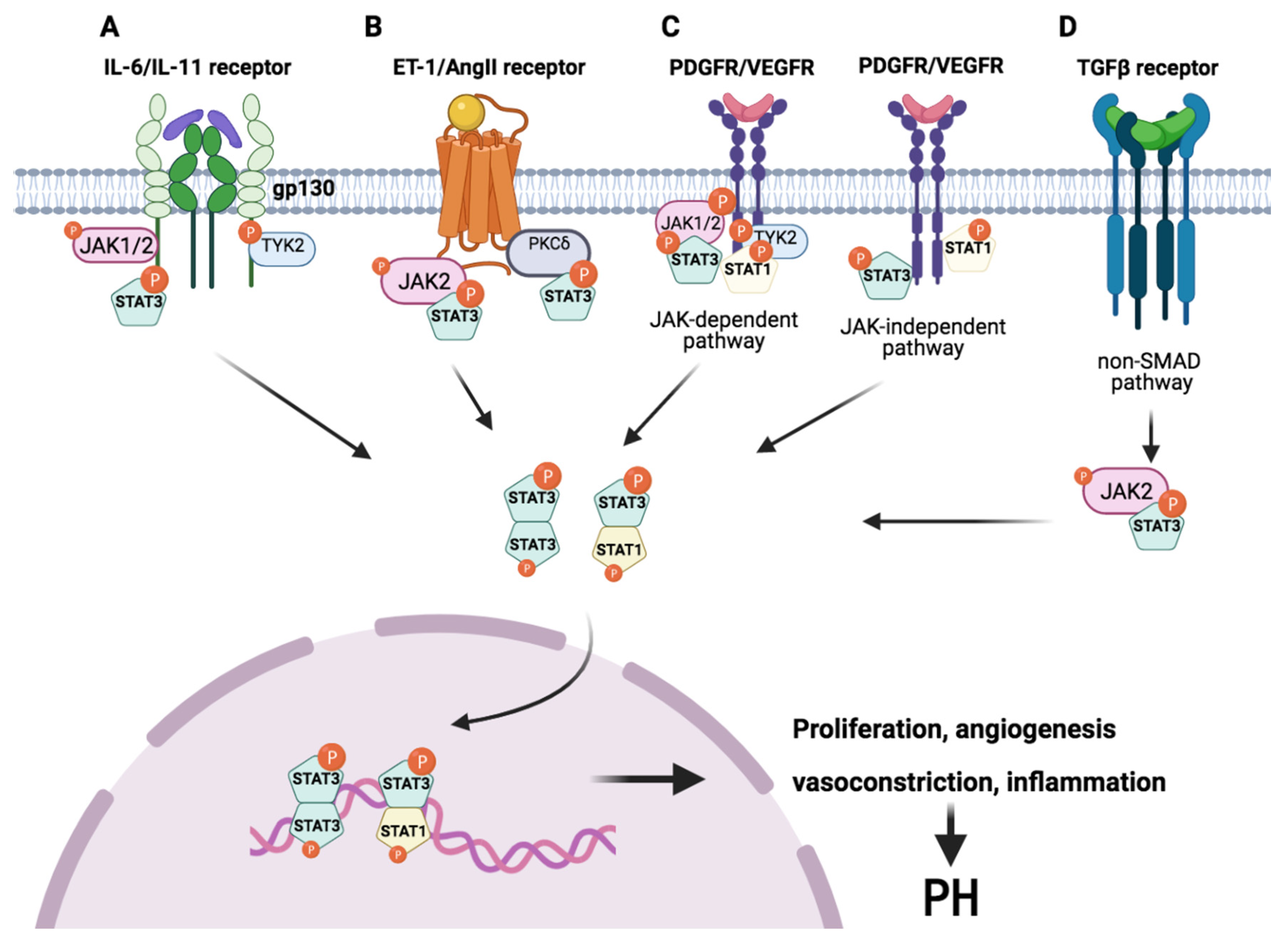 Ijms 22 04980 g002 Ijms 22 04980 g002
