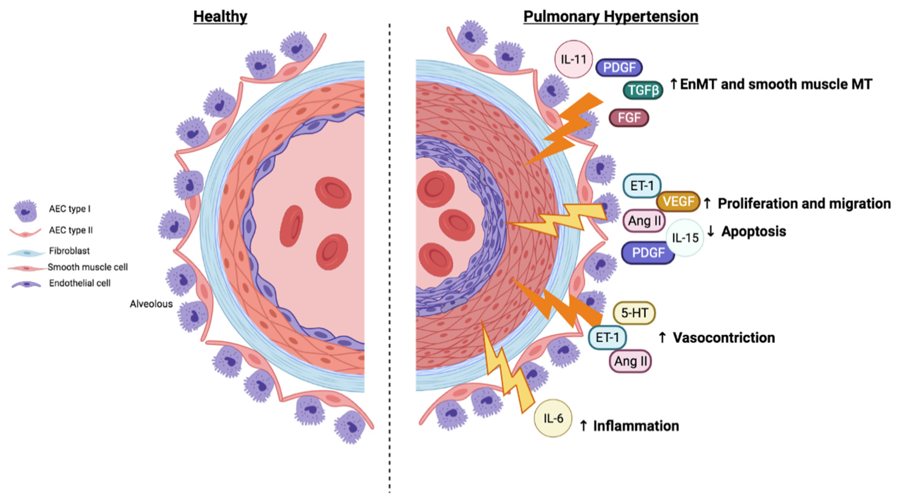 Ijms 22 04980 g004 Ijms 22 04980 g004