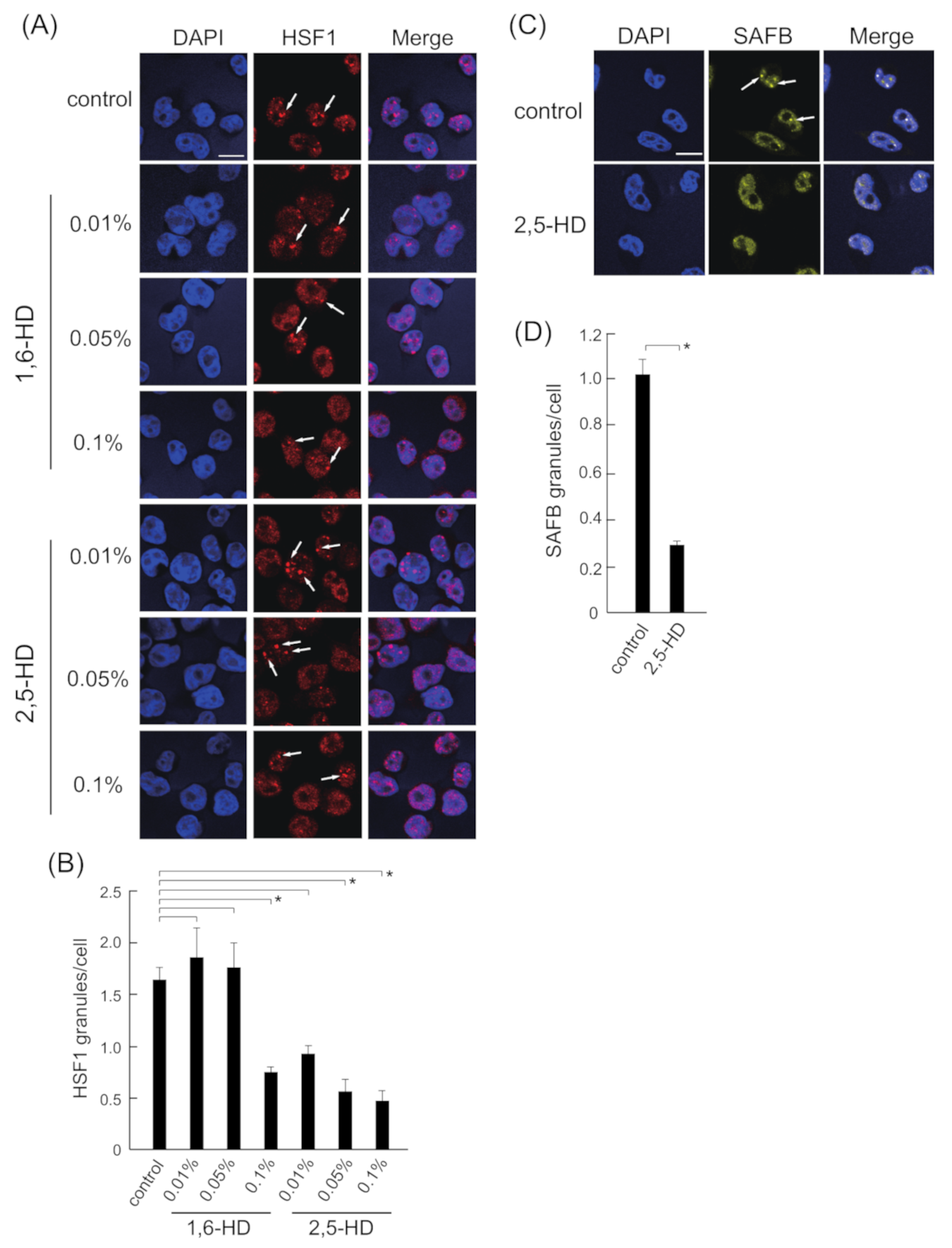 Ijms 22 04982 g002 Ijms 22 04982 g002