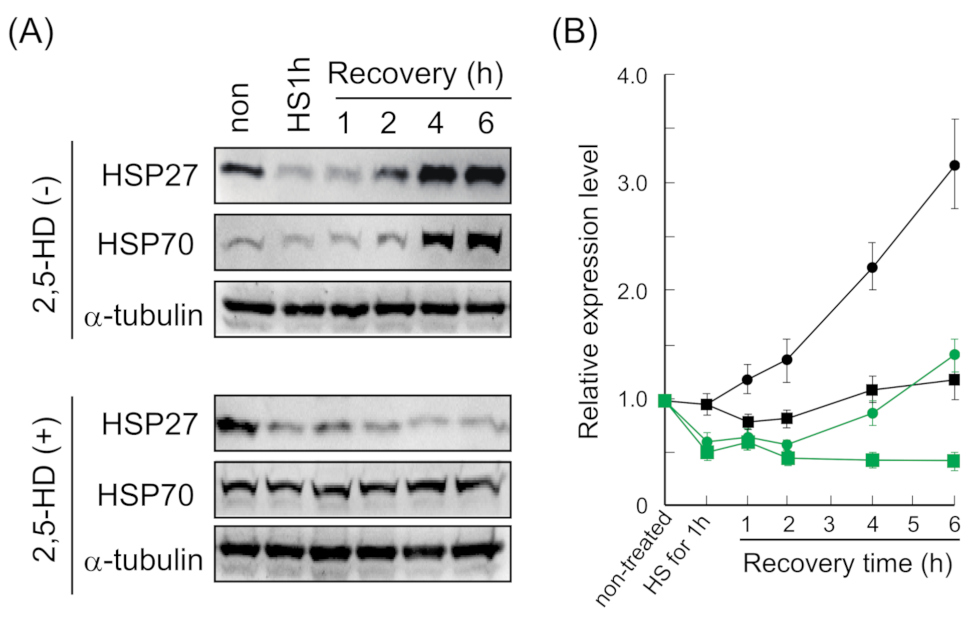 Ijms 22 04982 g005 Ijms 22 04982 g005