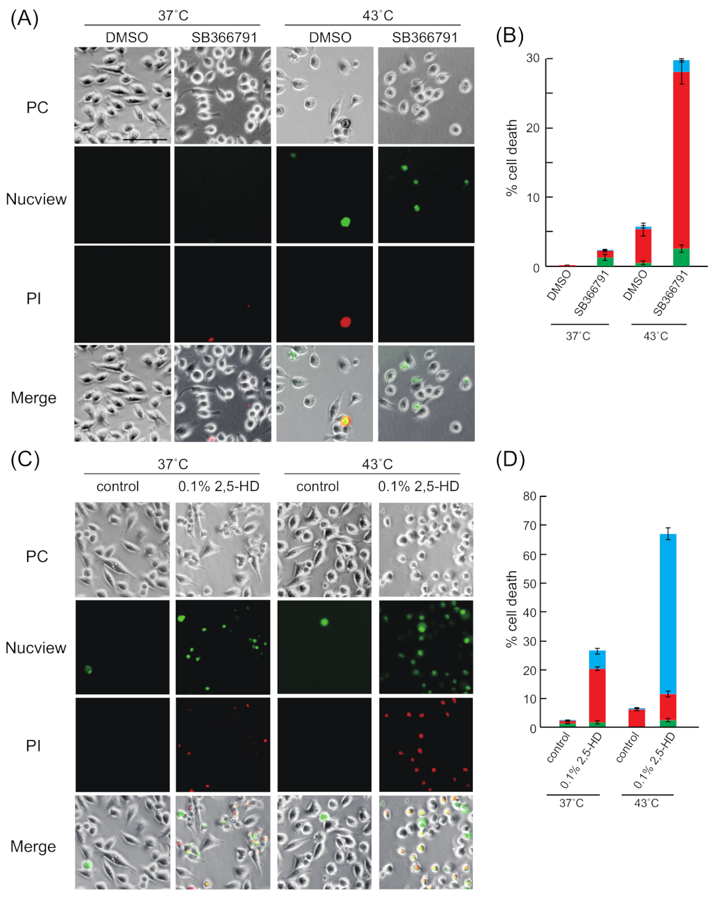 Ijms 22 04982 g006 Ijms 22 04982 g006