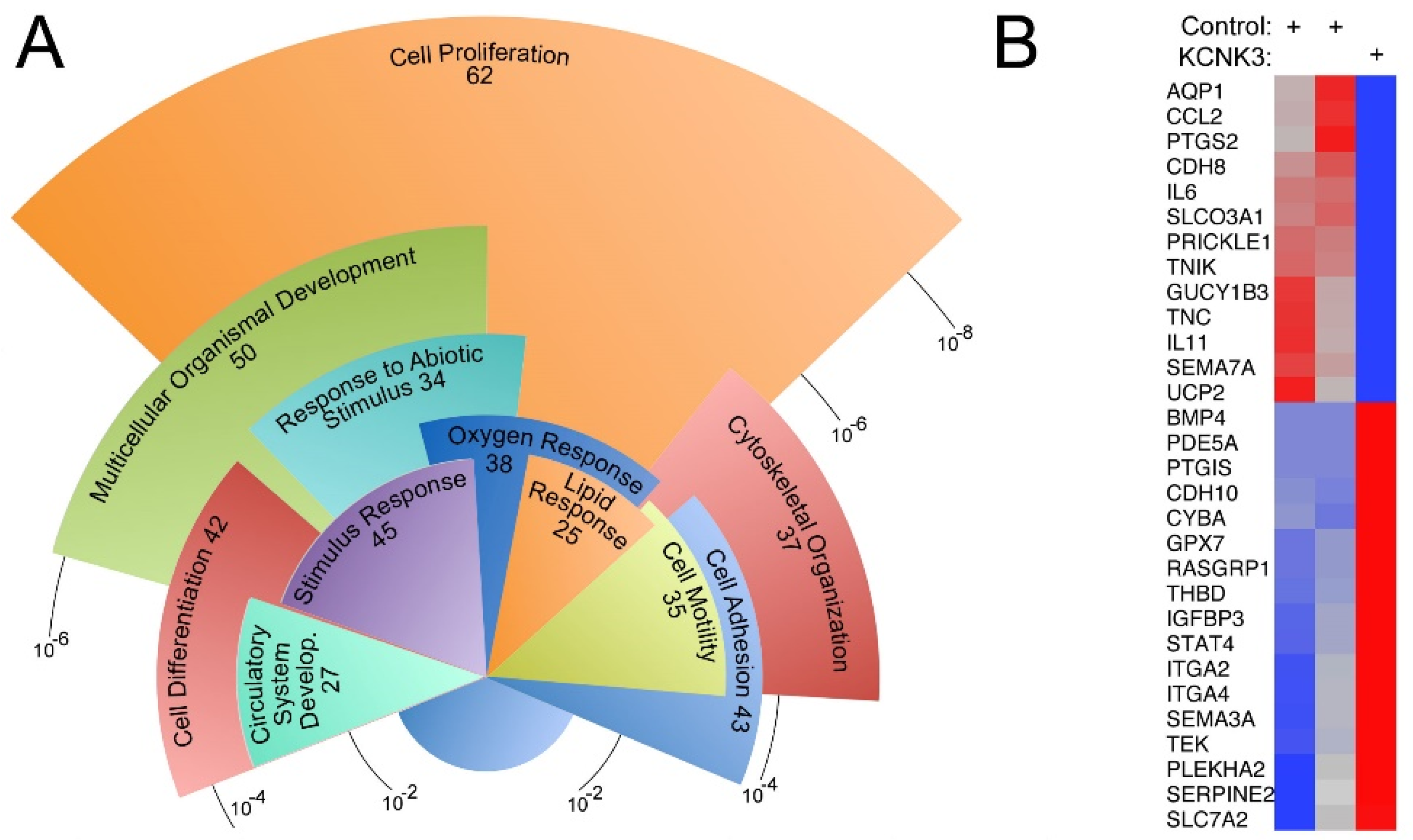 Ijms 22 05014 g001 Ijms 22 05014 g001