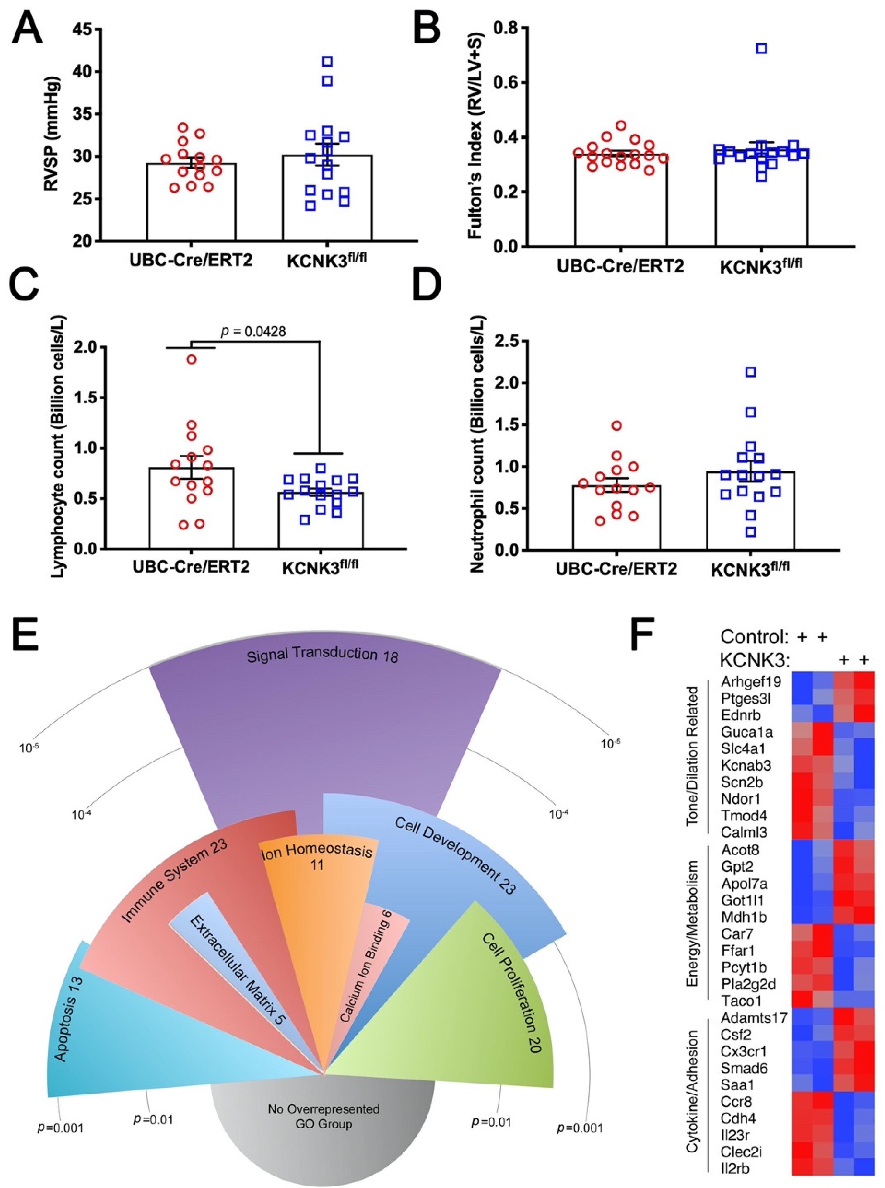 Ijms 22 05014 g002 Ijms 22 05014 g002