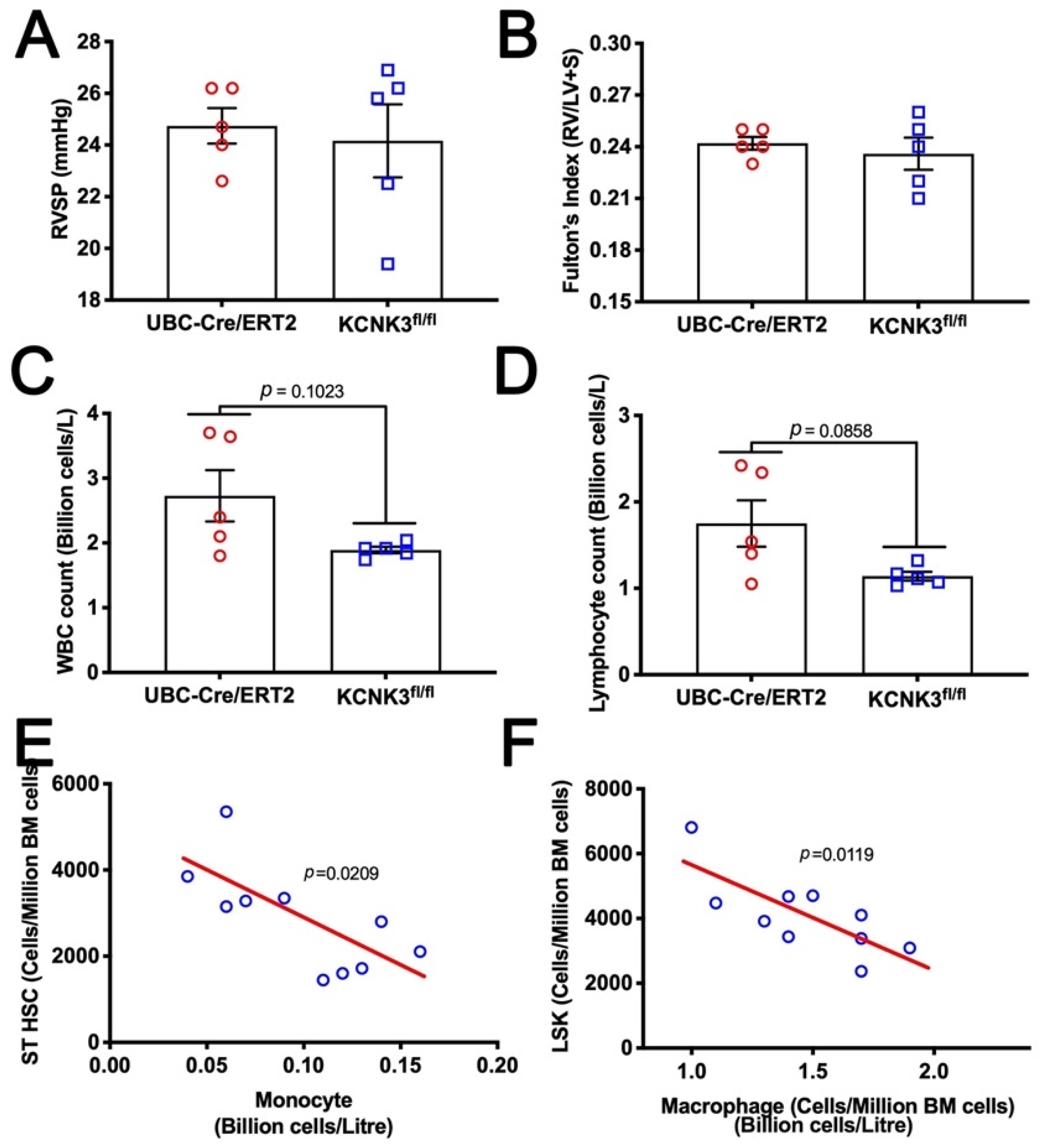 Ijms 22 05014 g003 Ijms 22 05014 g003