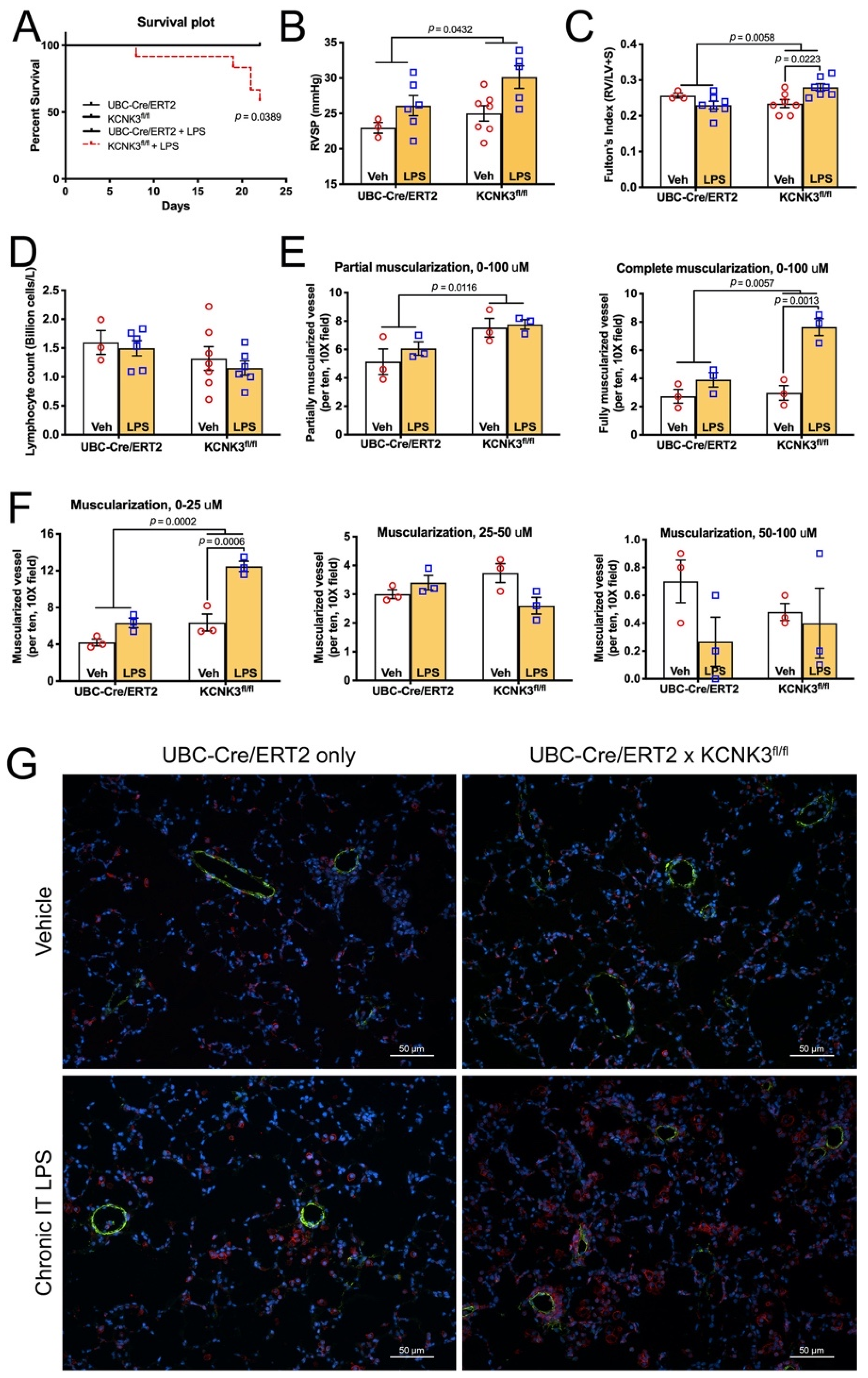 Ijms 22 05014 g004 Ijms 22 05014 g004