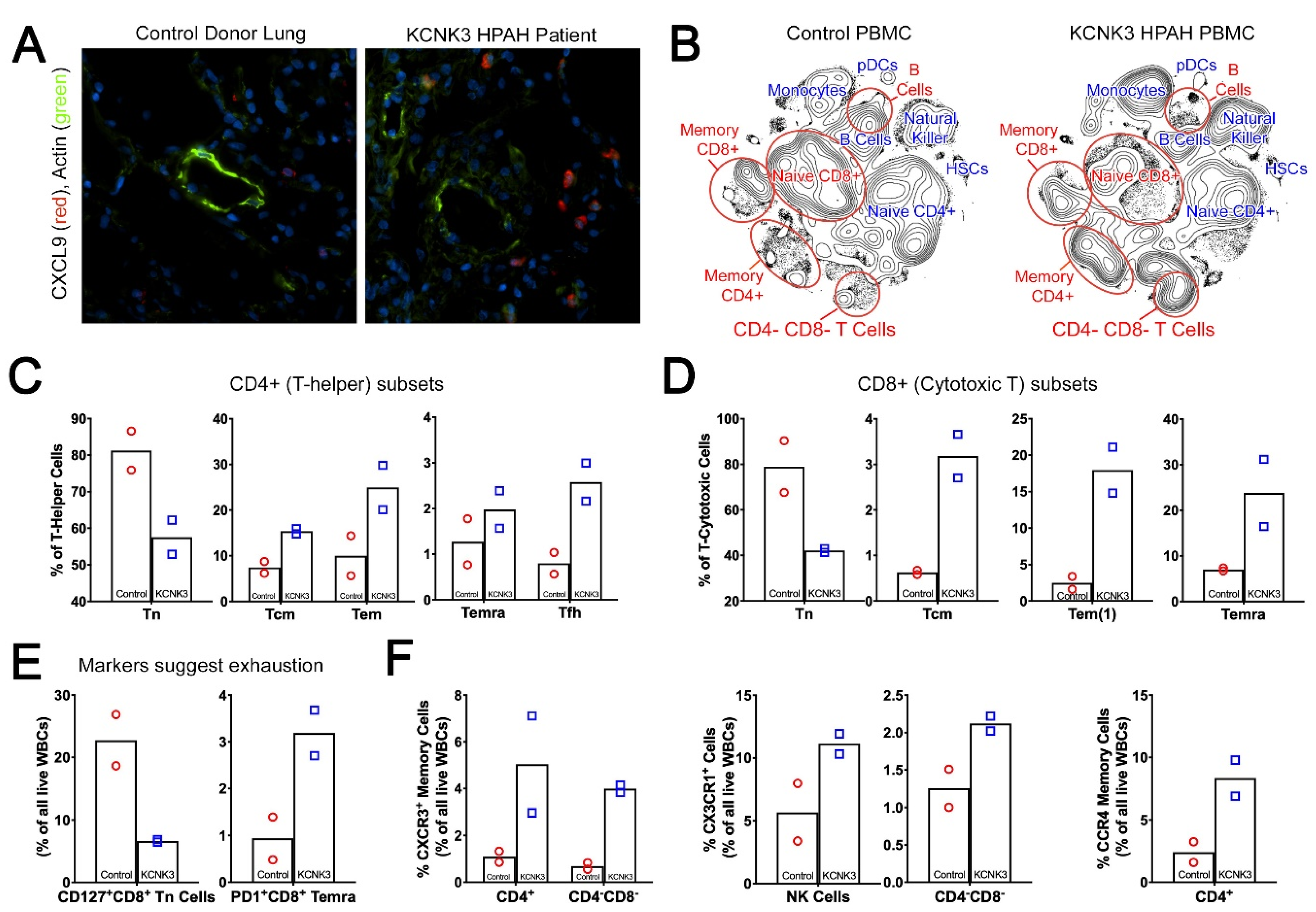 Ijms 22 05014 g006 Ijms 22 05014 g006
