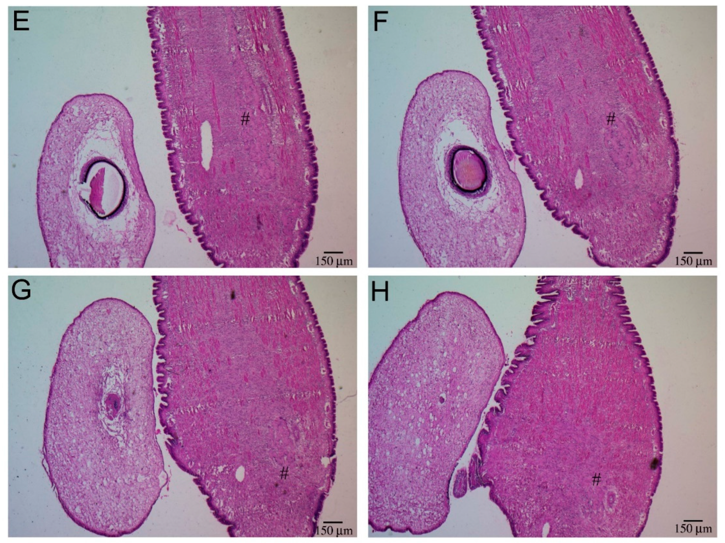 Ijms 22 05023 g001b Ijms 22 05023 g001b