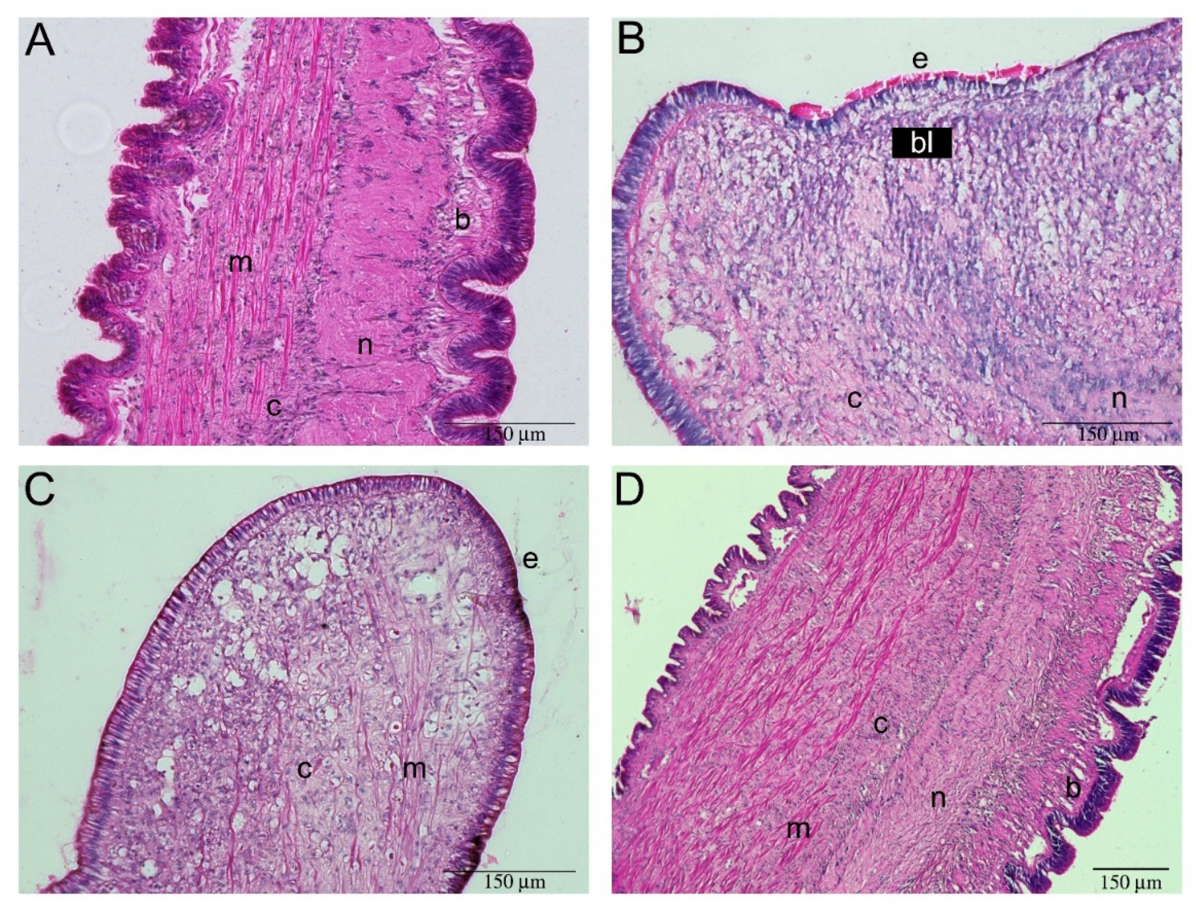 Ijms 22 05023 g005 Ijms 22 05023 g005