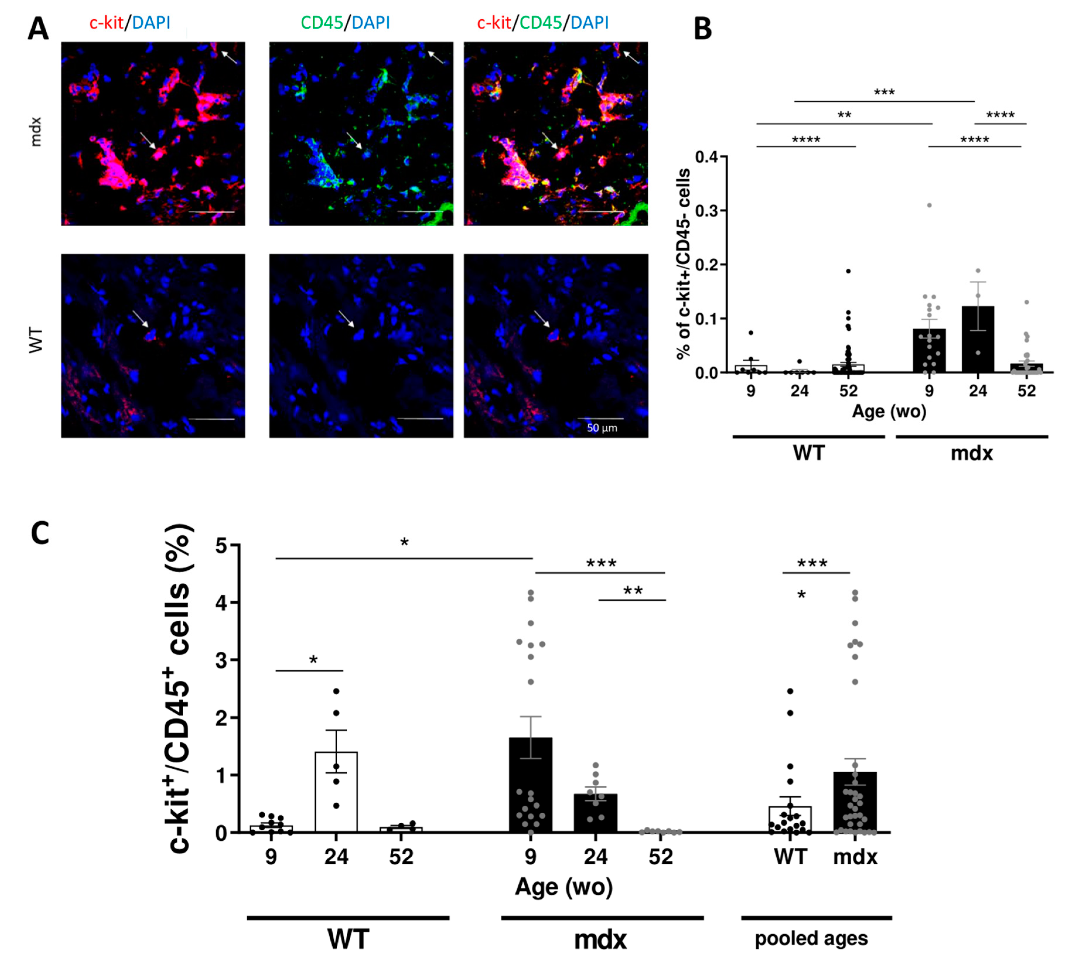 Ijms 22 05025 g002 Ijms 22 05025 g002
