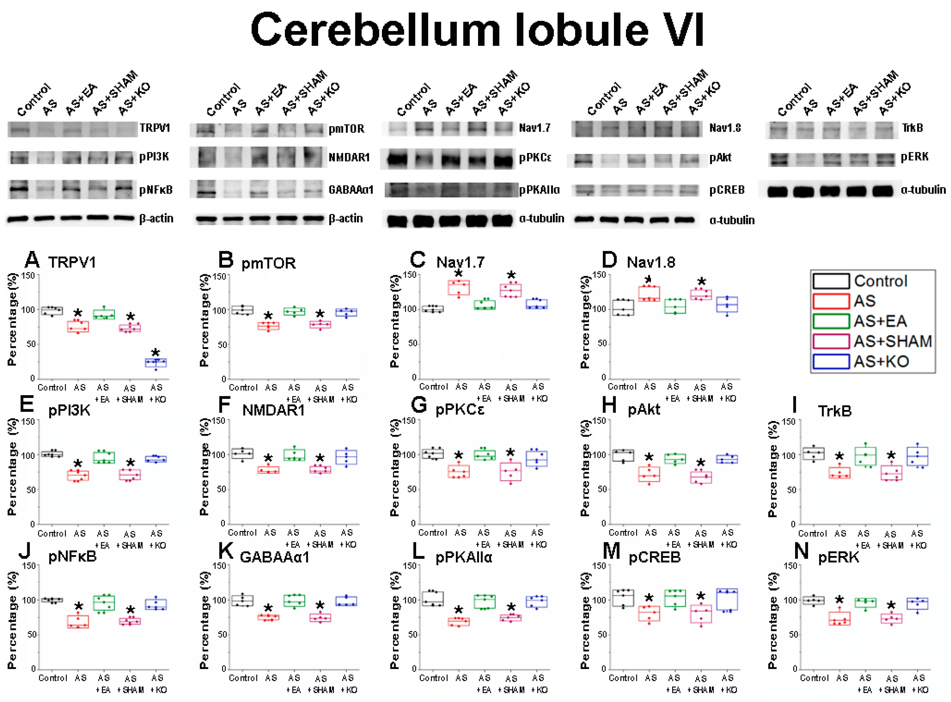 Ijms 22 05028 g002 Ijms 22 05028 g002