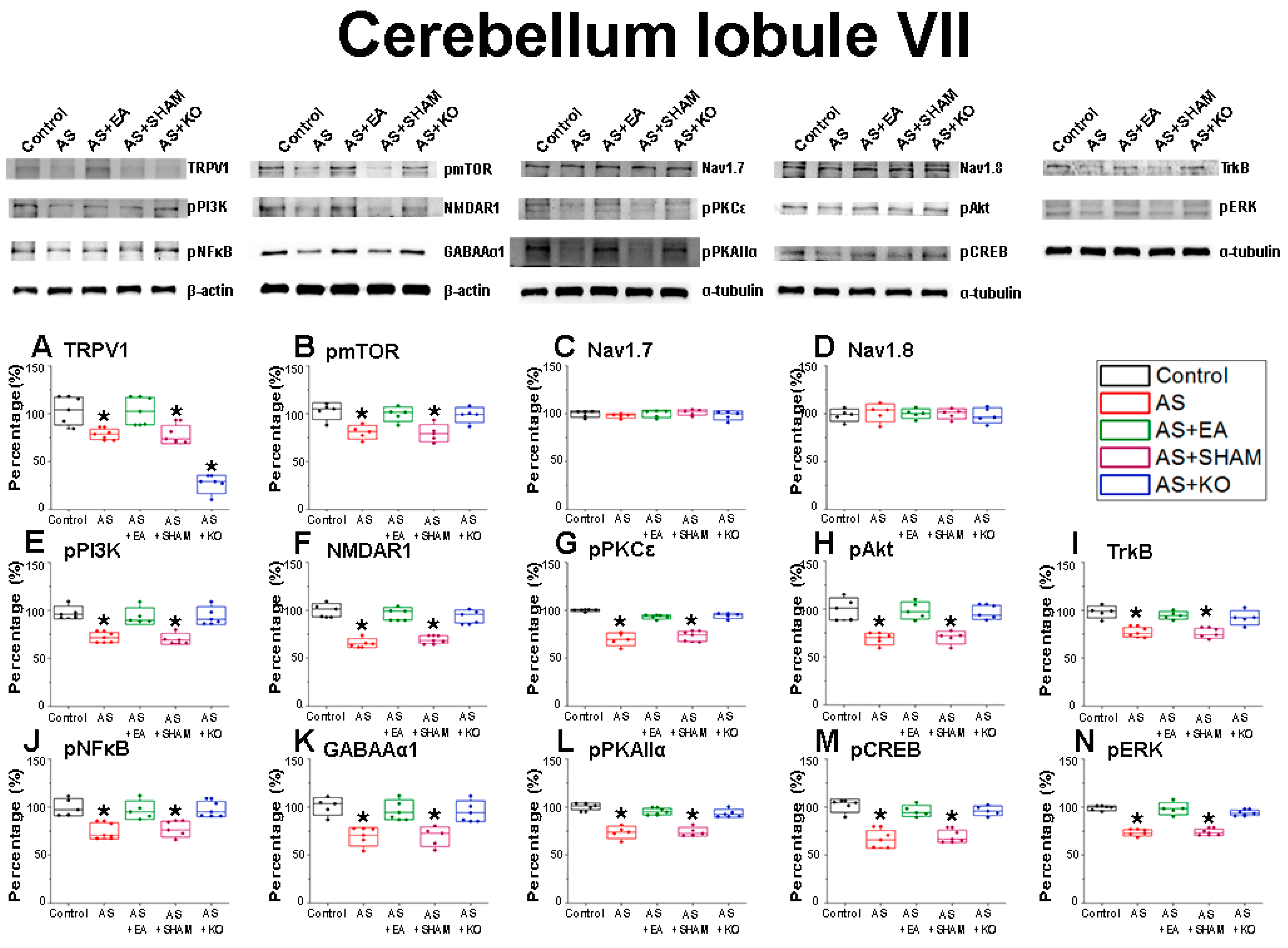 Ijms 22 05028 g003 Ijms 22 05028 g003