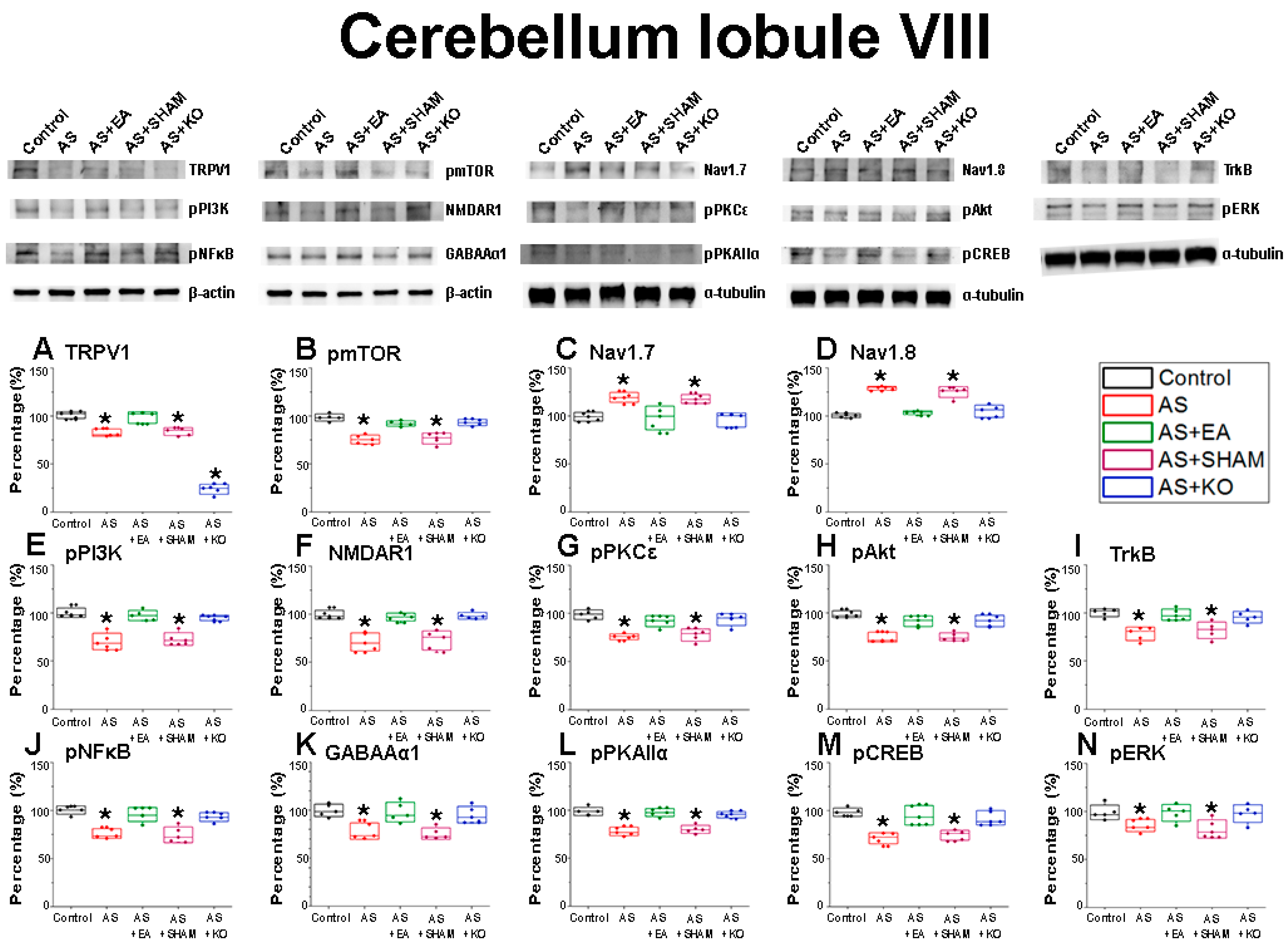 Ijms 22 05028 g004 Ijms 22 05028 g004