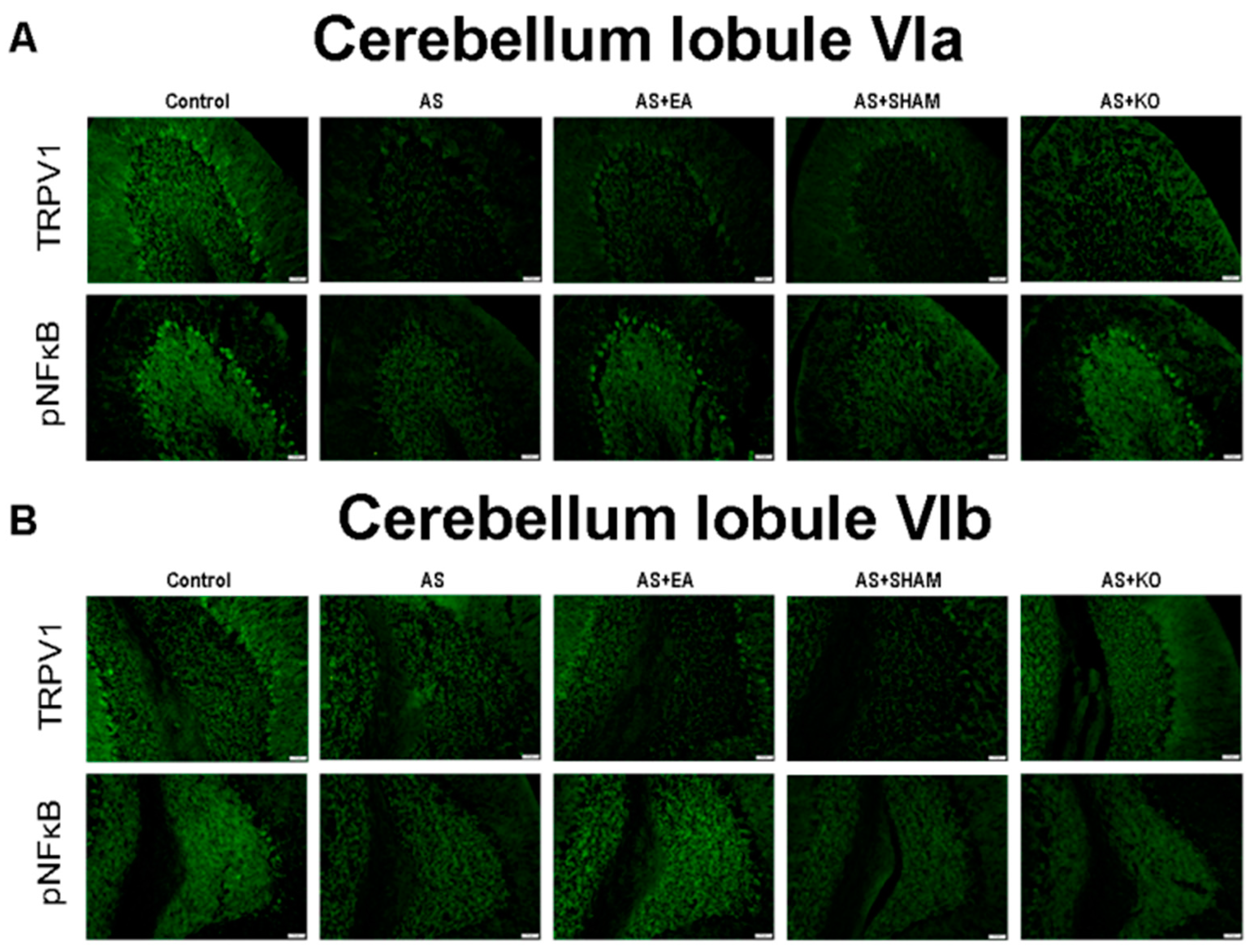 Ijms 22 05028 g005 Ijms 22 05028 g005