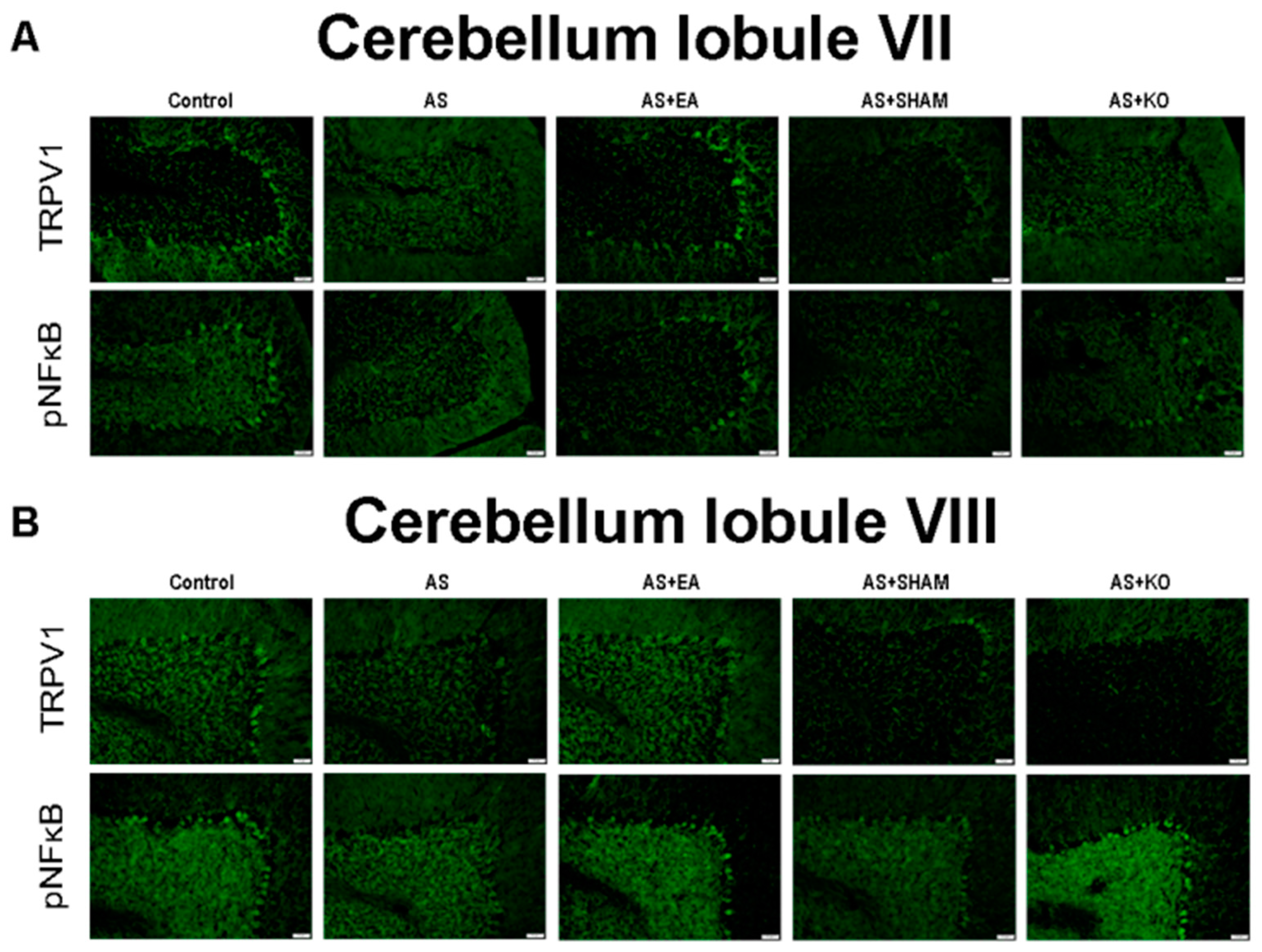 Ijms 22 05028 g006 Ijms 22 05028 g006