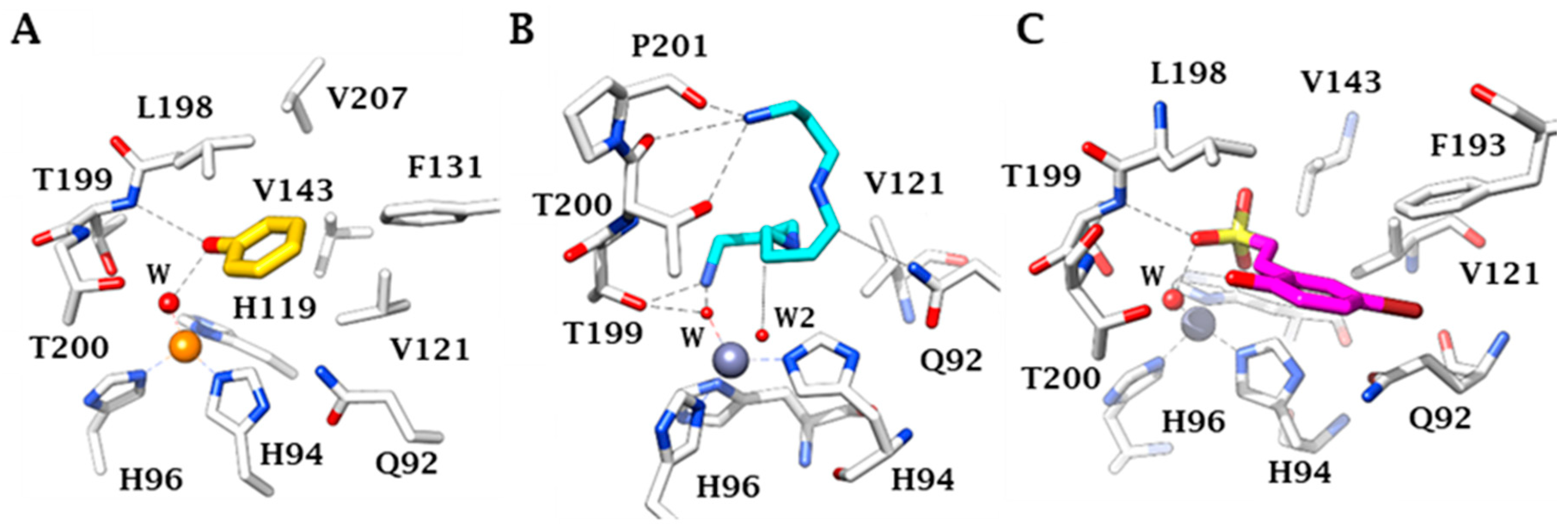 Ijms 22 05029 g002 Ijms 22 05029 g002